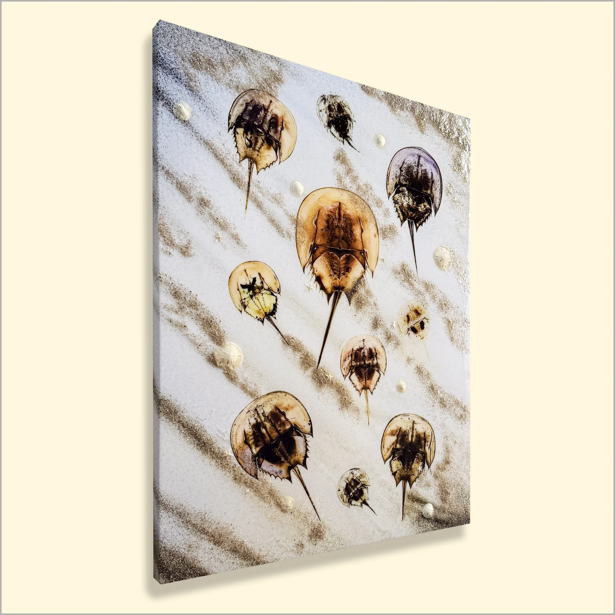 Horseshoe Crab Seashell Art --0106.JPG