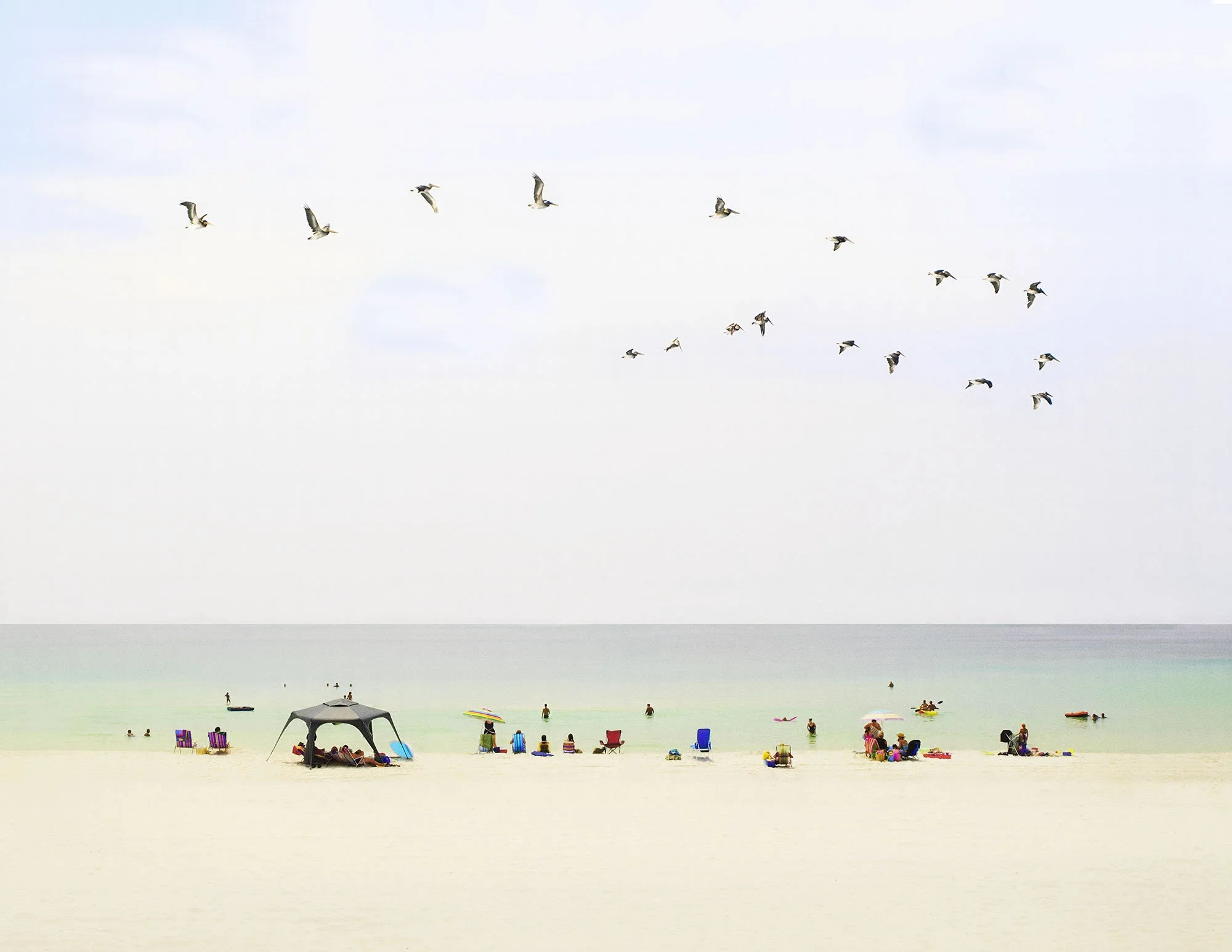 Pelicans in FLight - M - 1000.JPG