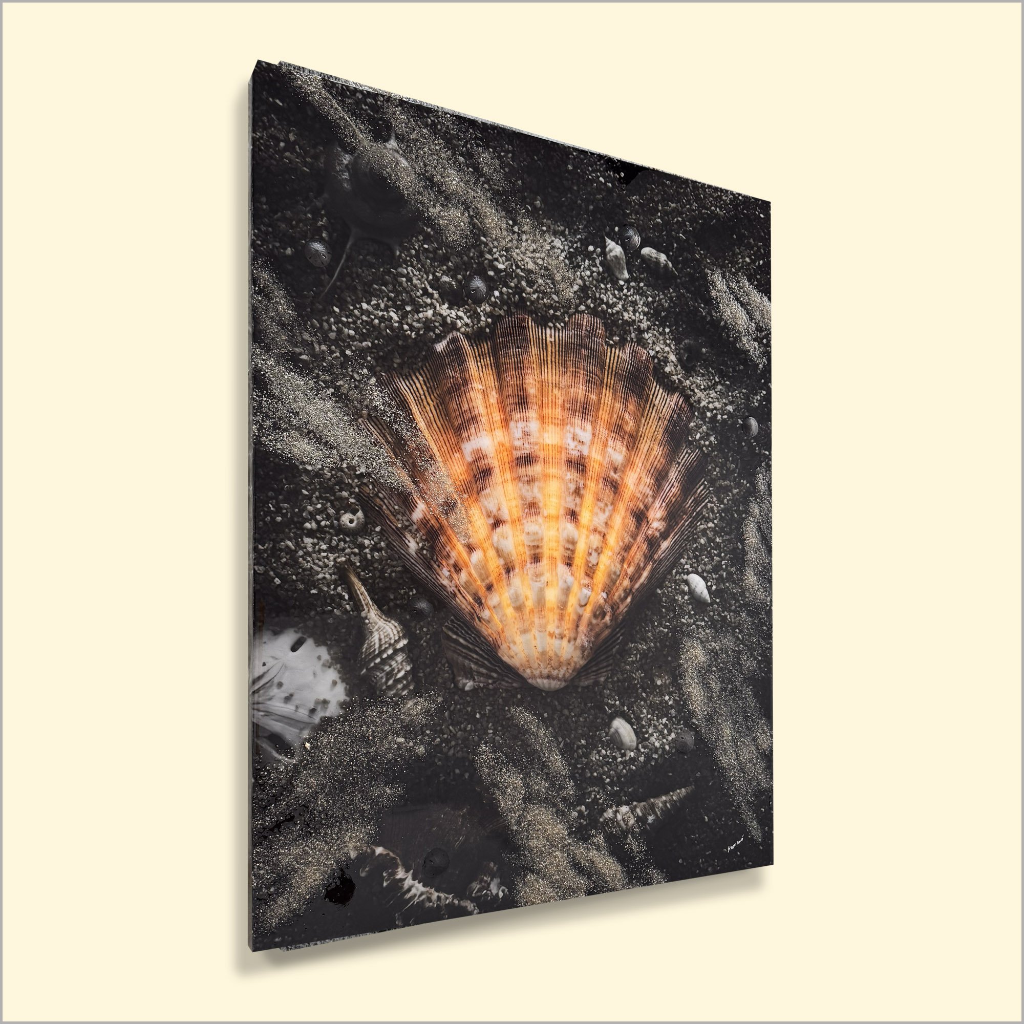 Scallop Seashell Art 06.JPG