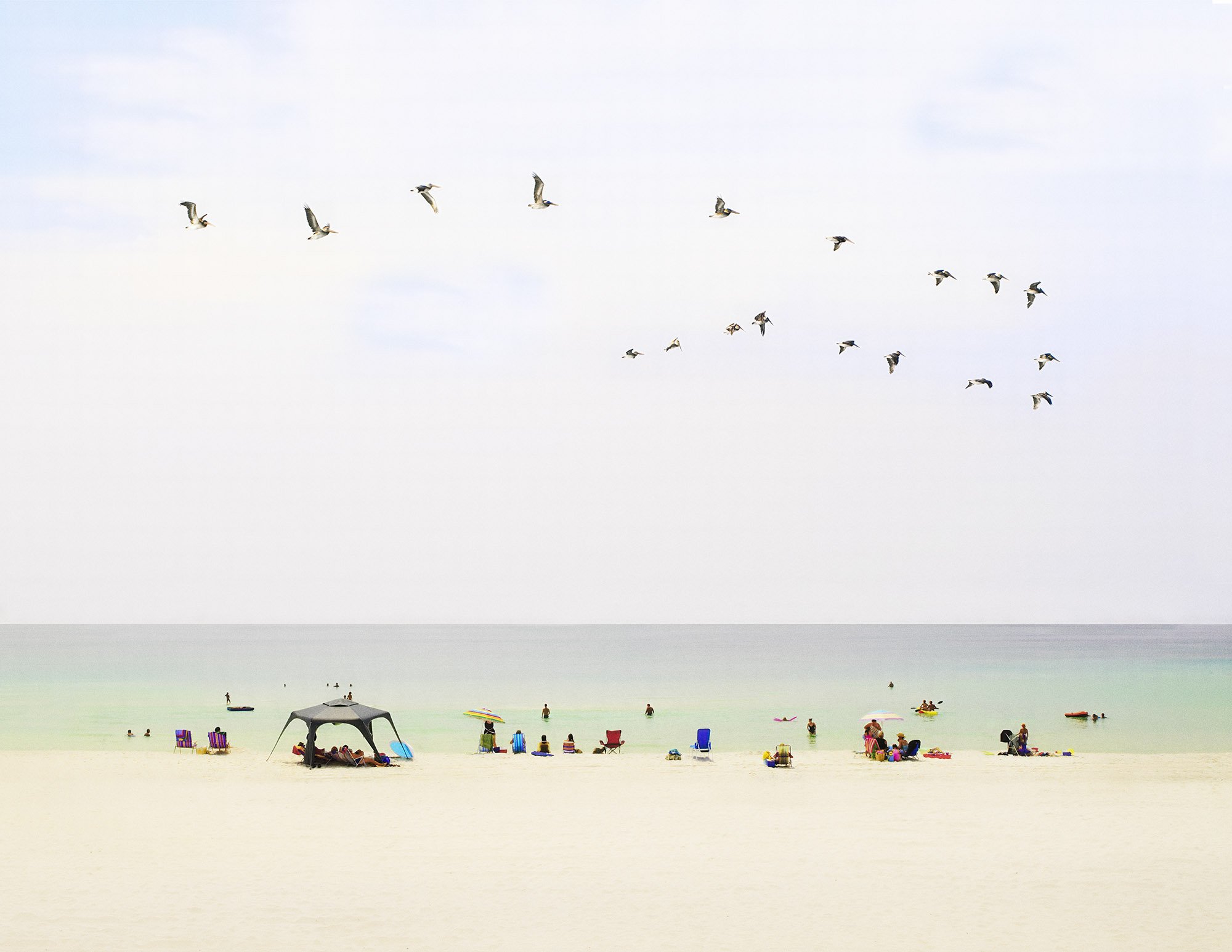 Pelicans in FLight - M - 1000.JPG