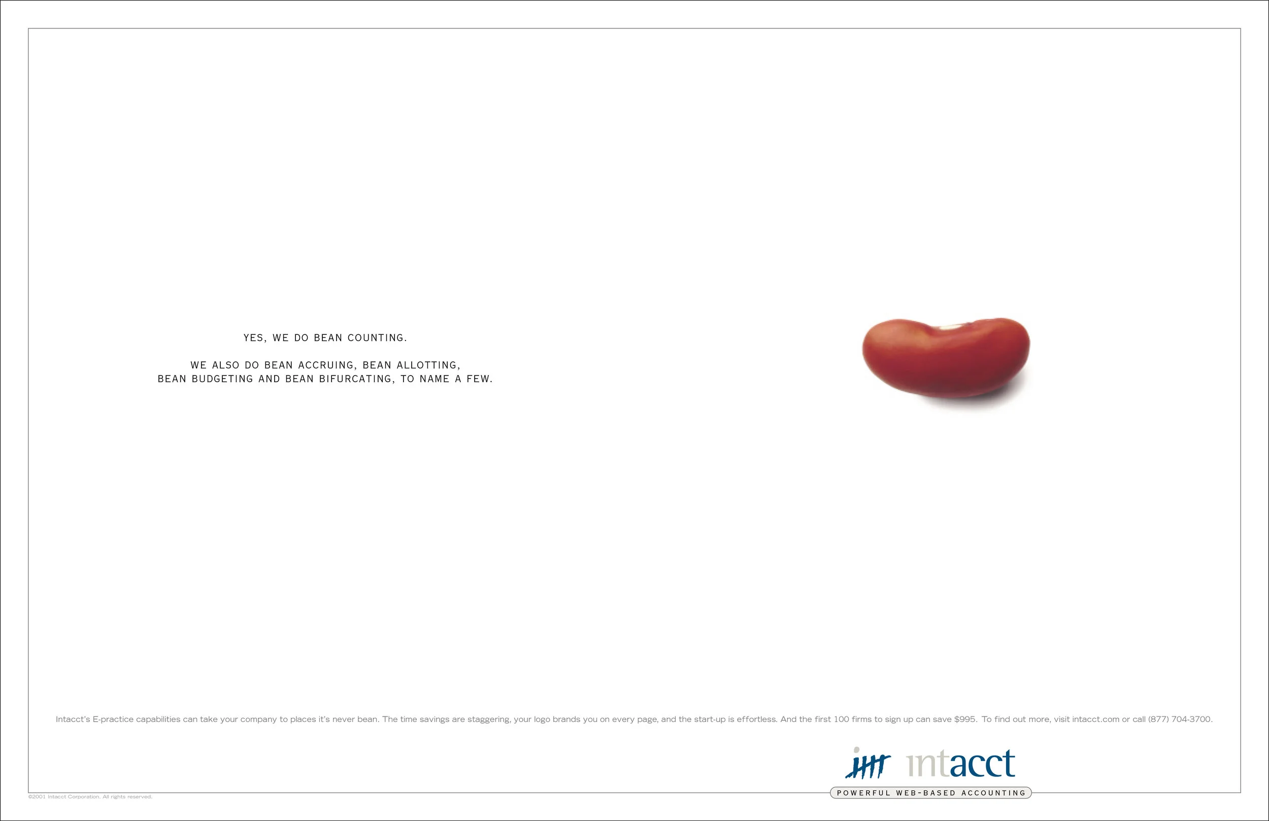 Campaign for powerful, web-based accounting software, Intacct