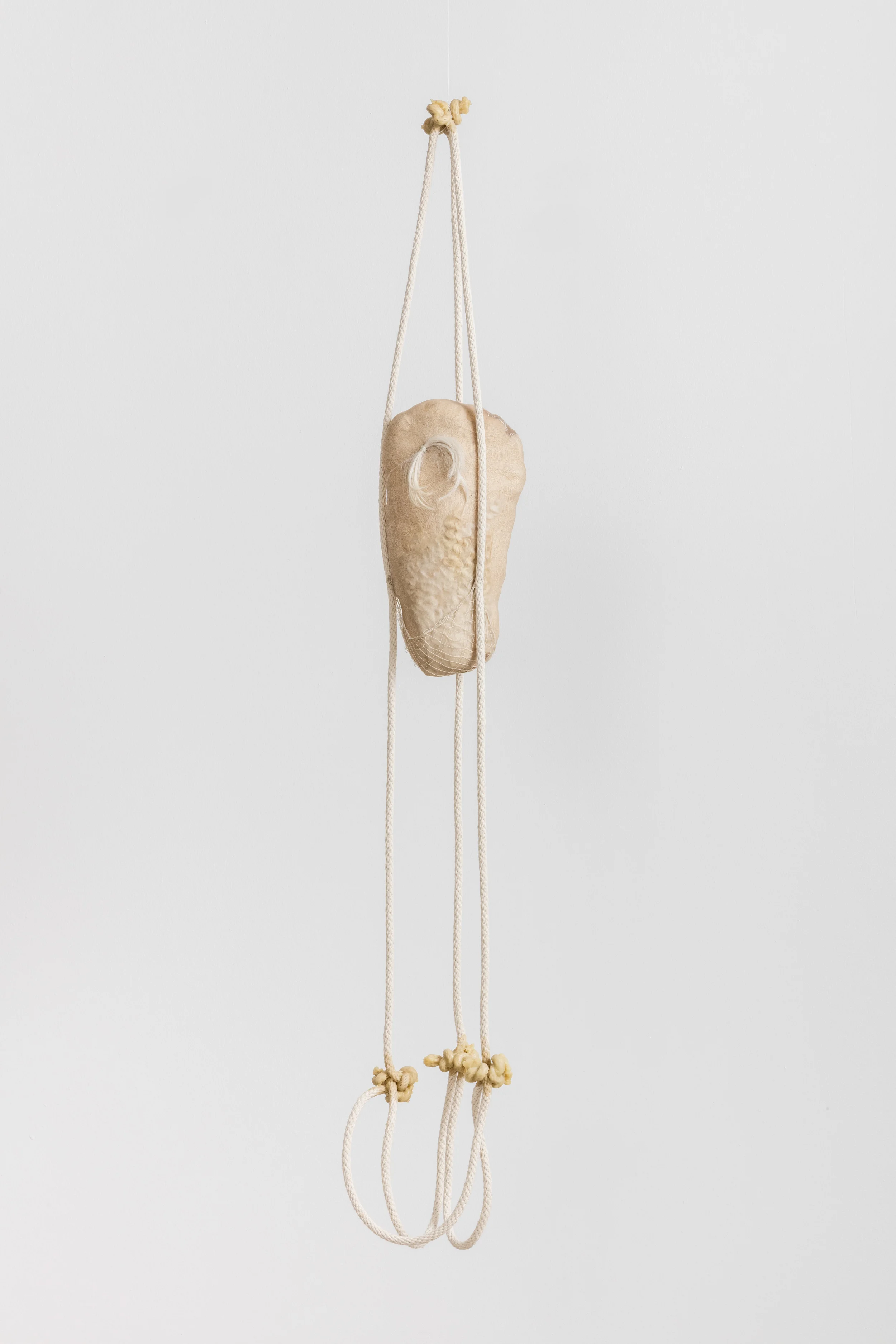 Tanya Aguiniga Agamic Senescent 2 , 2016 Cotton rope, cotton thread, foam, gauze, alpaca, wool, nylon and beeswax 46 x 6 x 4 inches