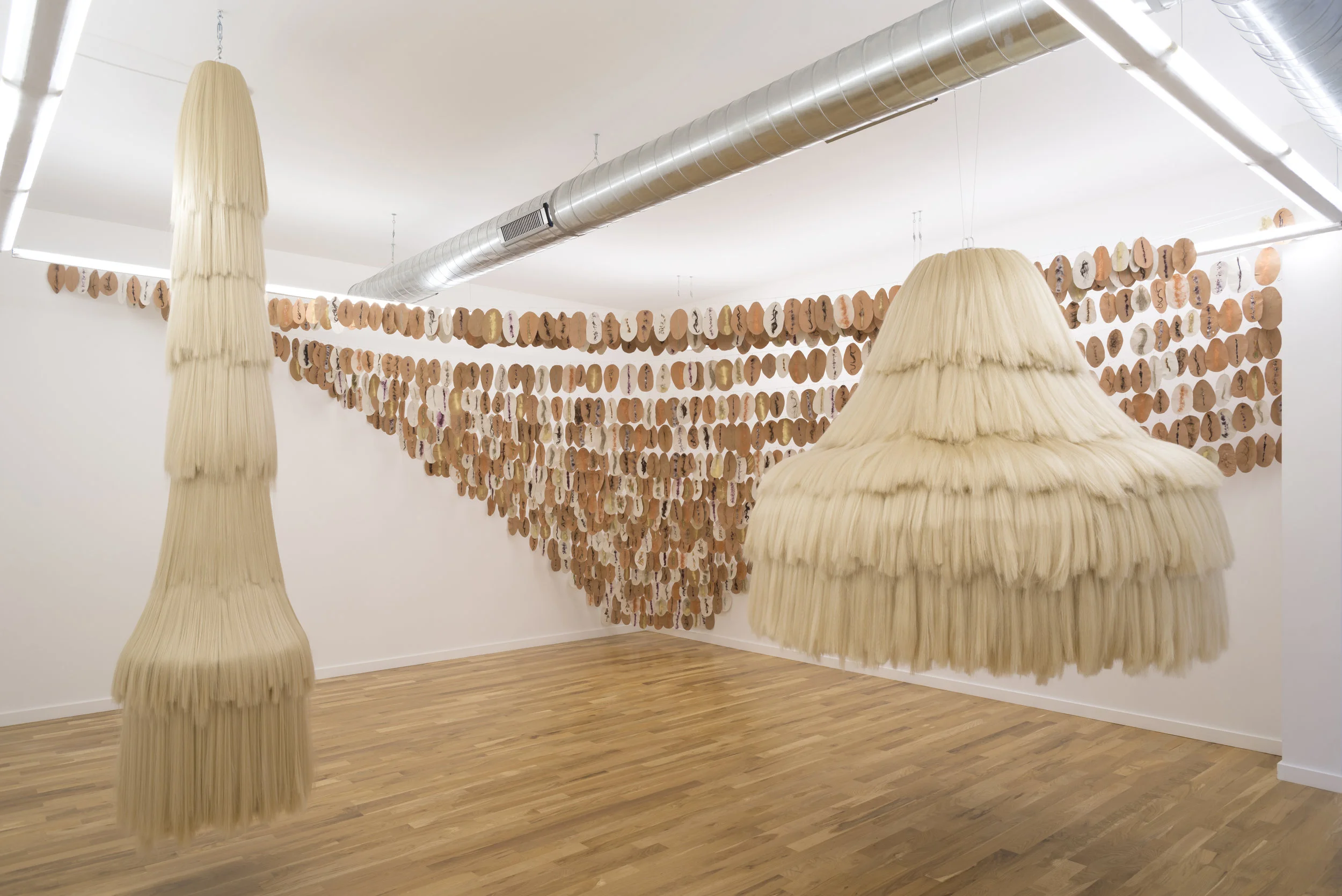   Reindigenizing the Self (installation view) , 2017  Volume Gallery, Chicago  November 3 - December 31, 2017 