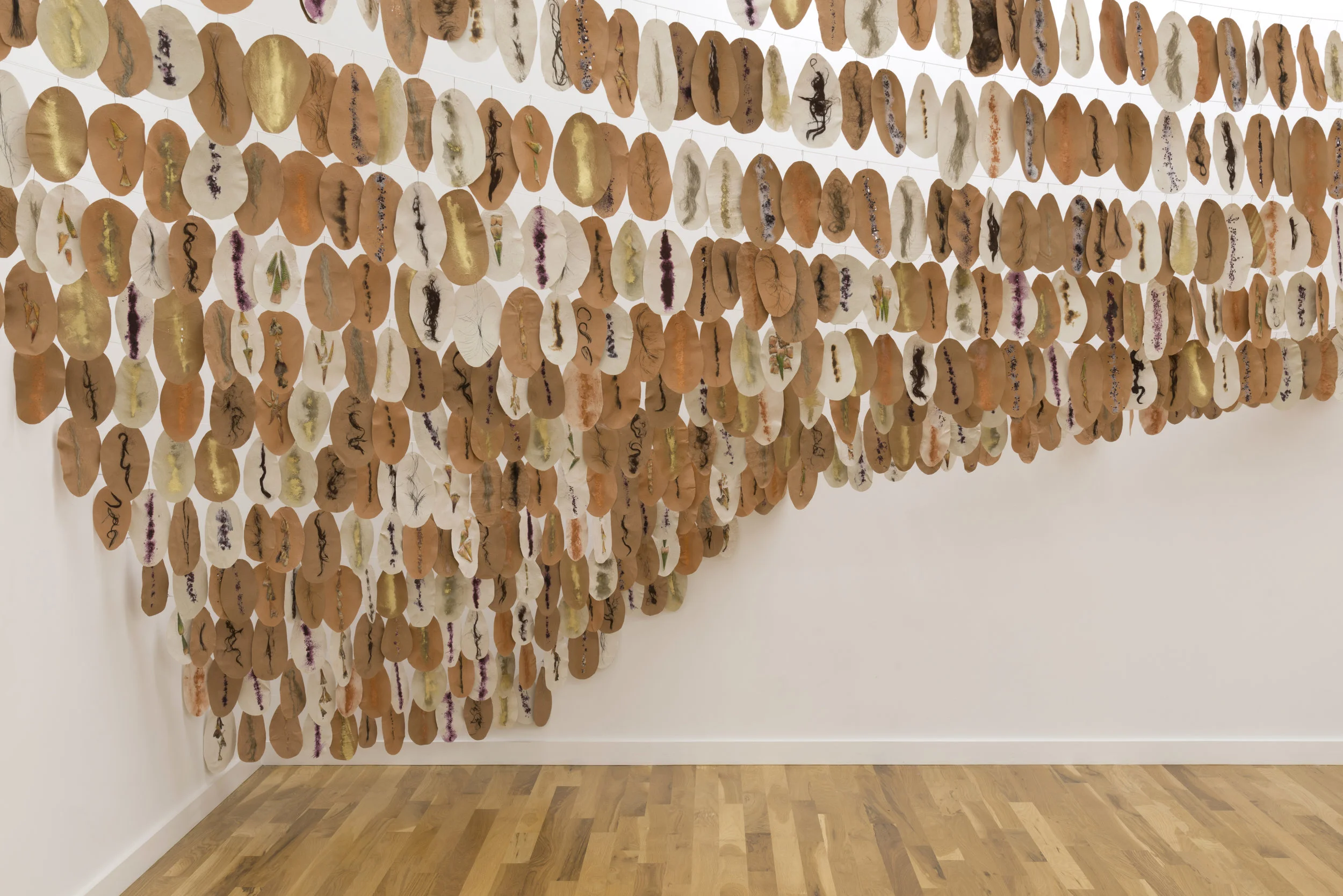   Nopal  (installation view), 2017  Abaca pulp, clay, alpaca, flax, succulents, iron, horsehair, cochineal (live and dead), copper, gold, human hair  7 x 5 inches/each 