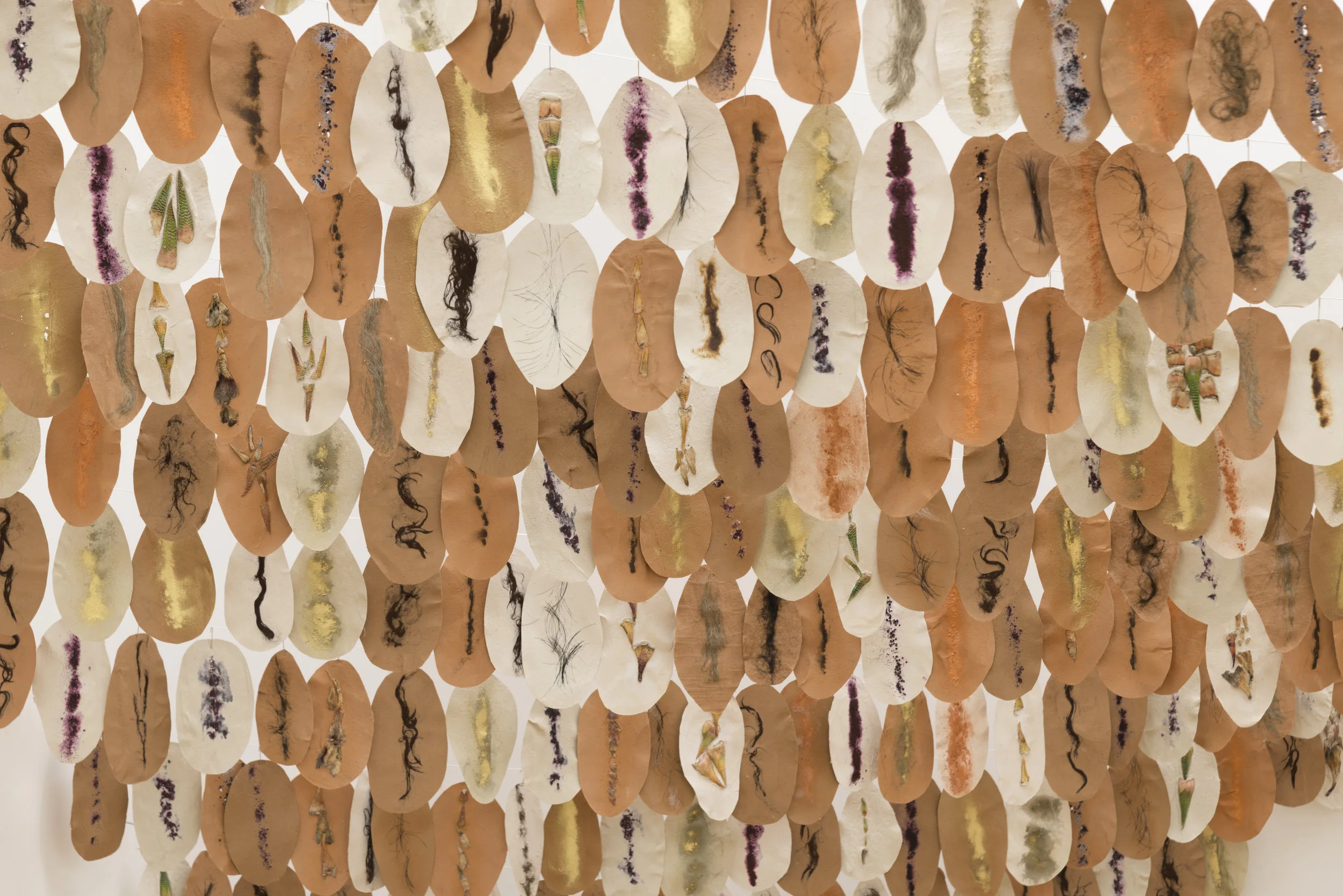   Nopal  (installation view detail), 2017  Abaca pulp, clay, alpaca, flax, succulents, iron, horsehair, cochineal (live and dead), copper, gold, hair  7 x 5 inches/each 