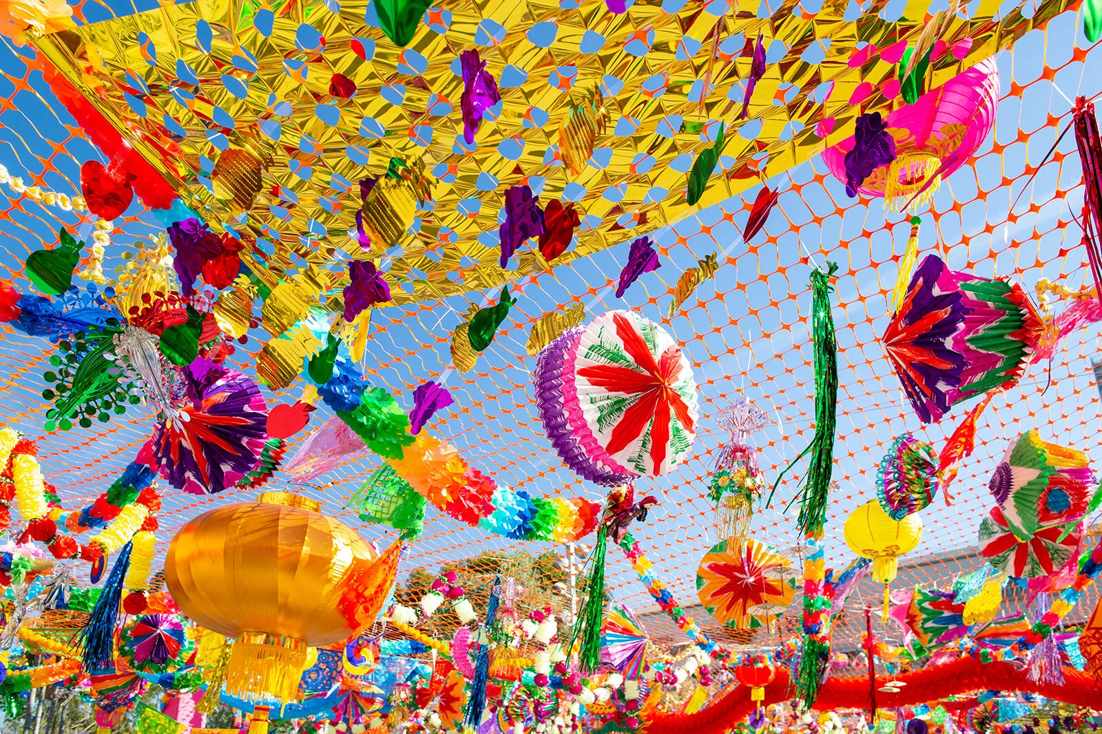 CelebrationSpectrum-Selects-0008_websize.jpg