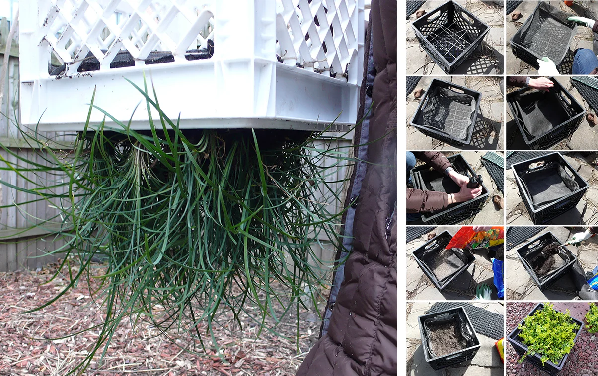 Planting Prototypes