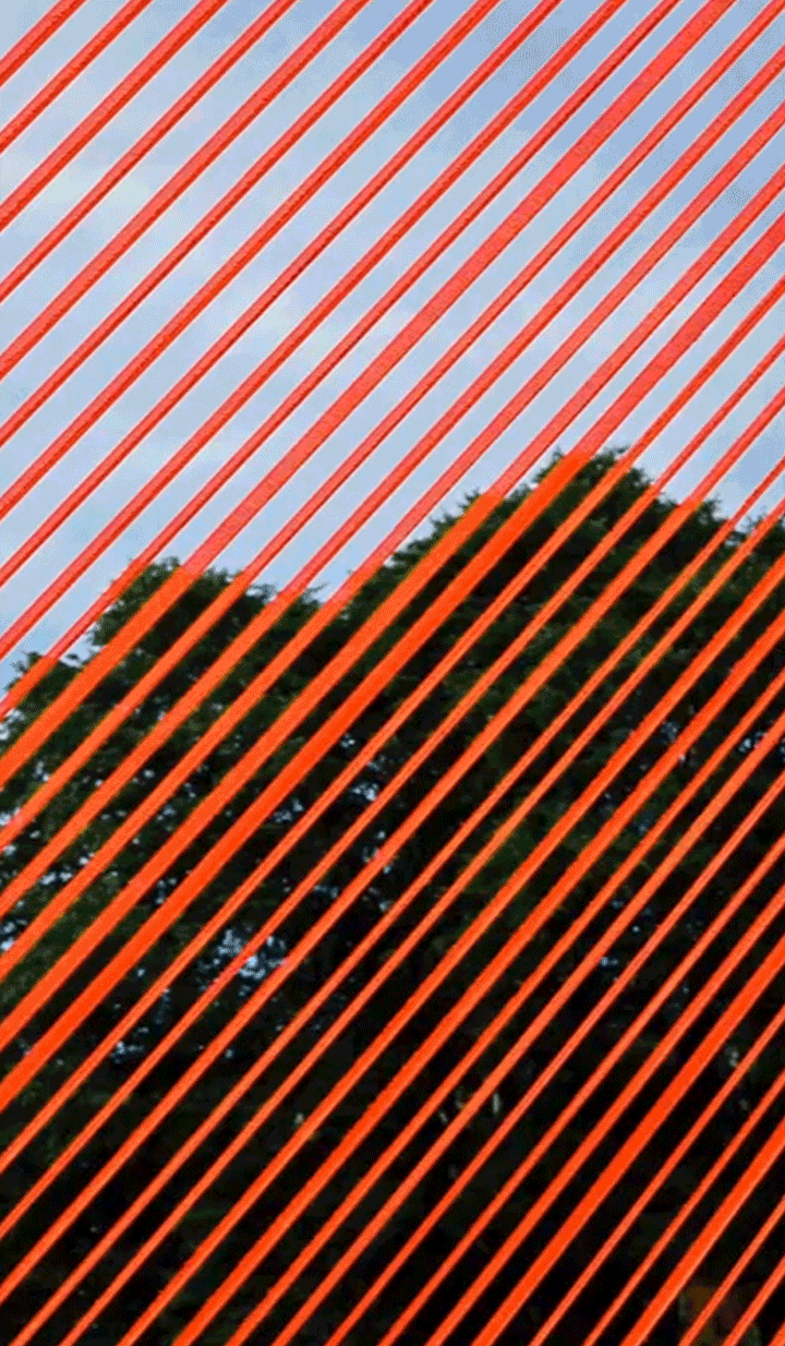 video03_2_72dpi.gif