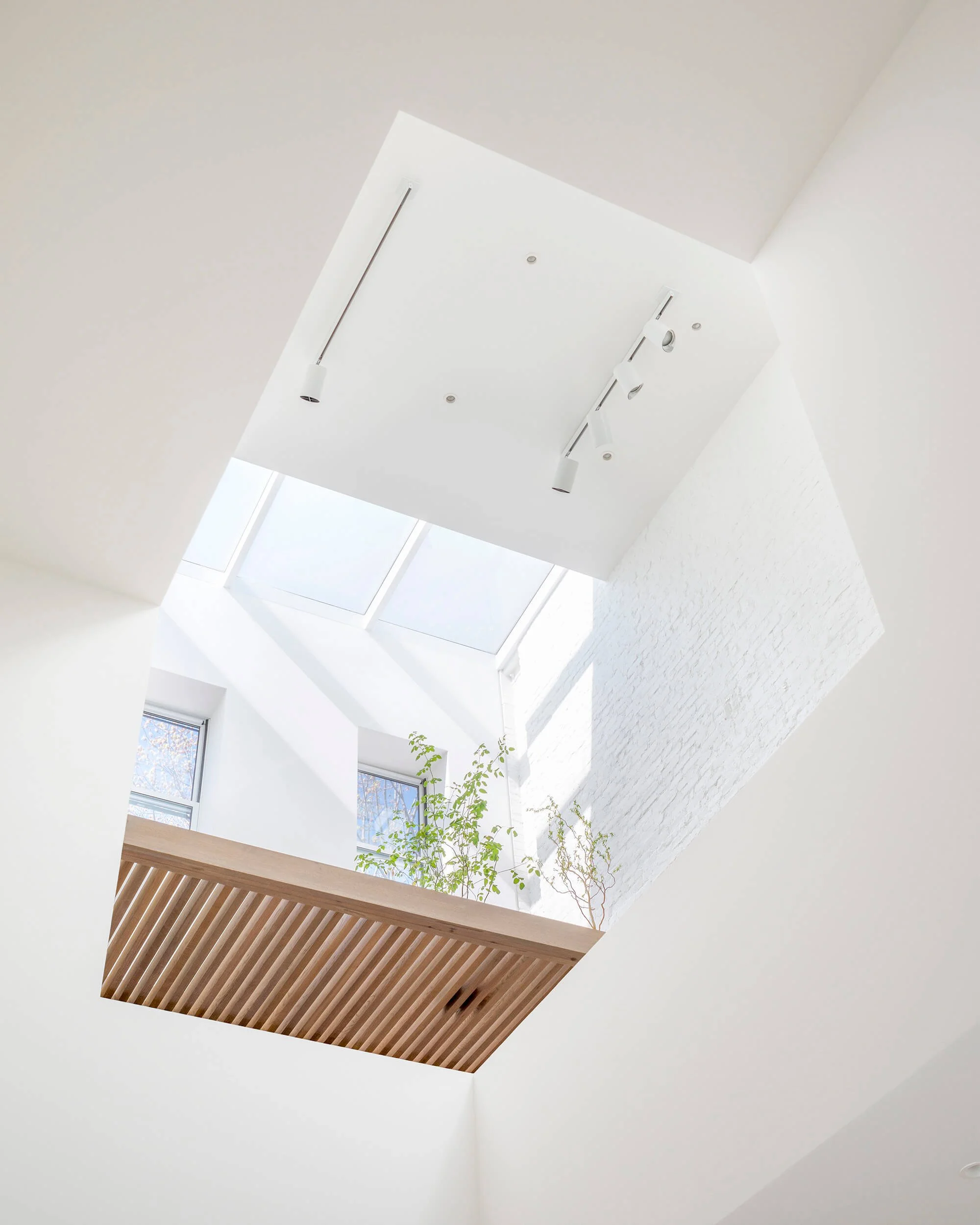 B+A_638_2nd_Street_011.jpg