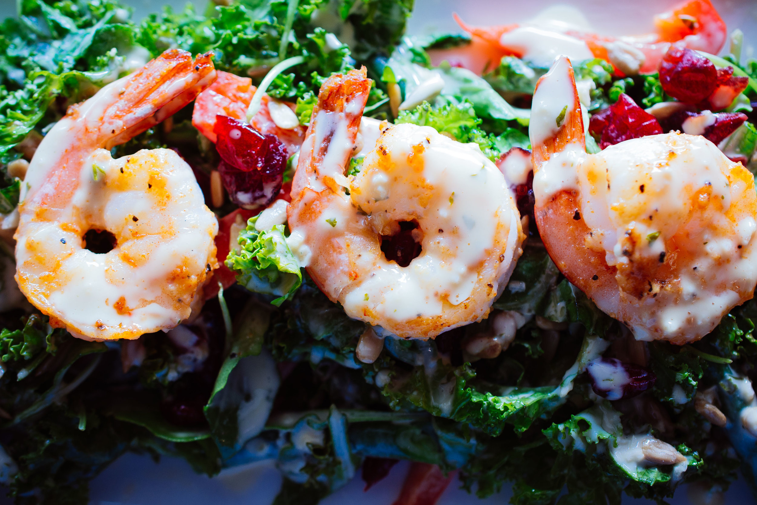 Shrimp Salad (6) copy.jpg