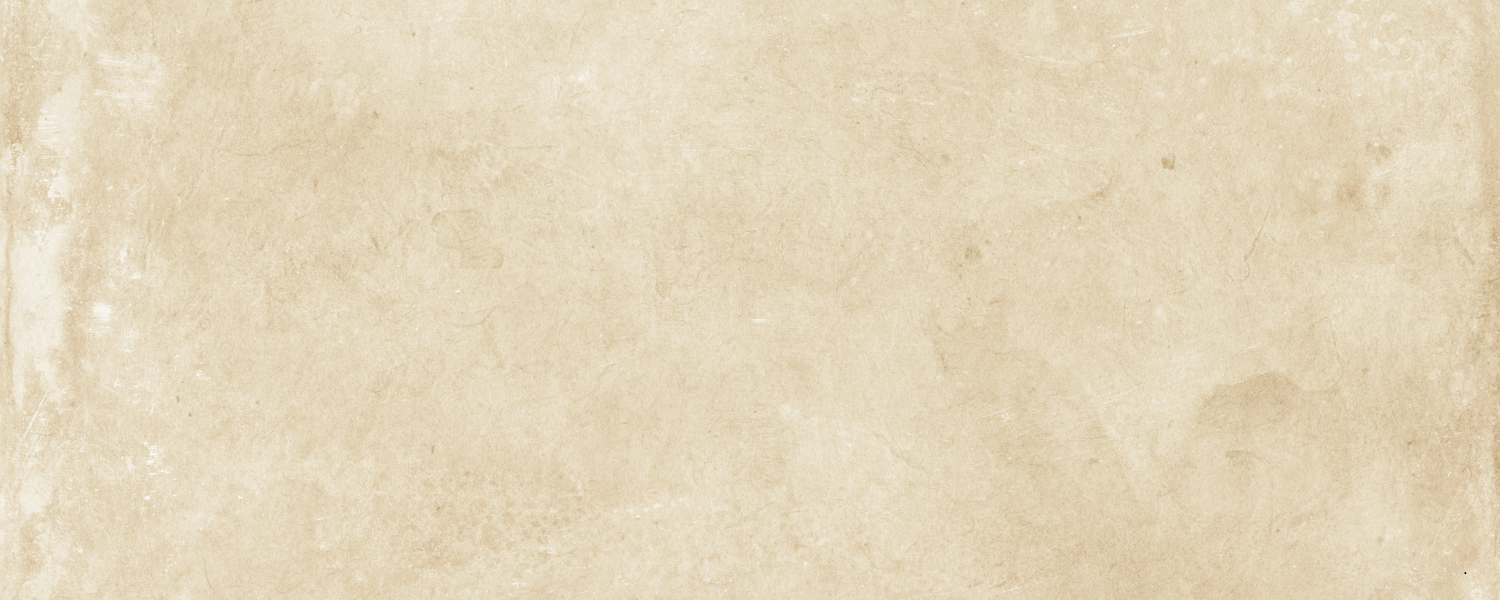 F.I.R.E. Academy Website Banners.png
