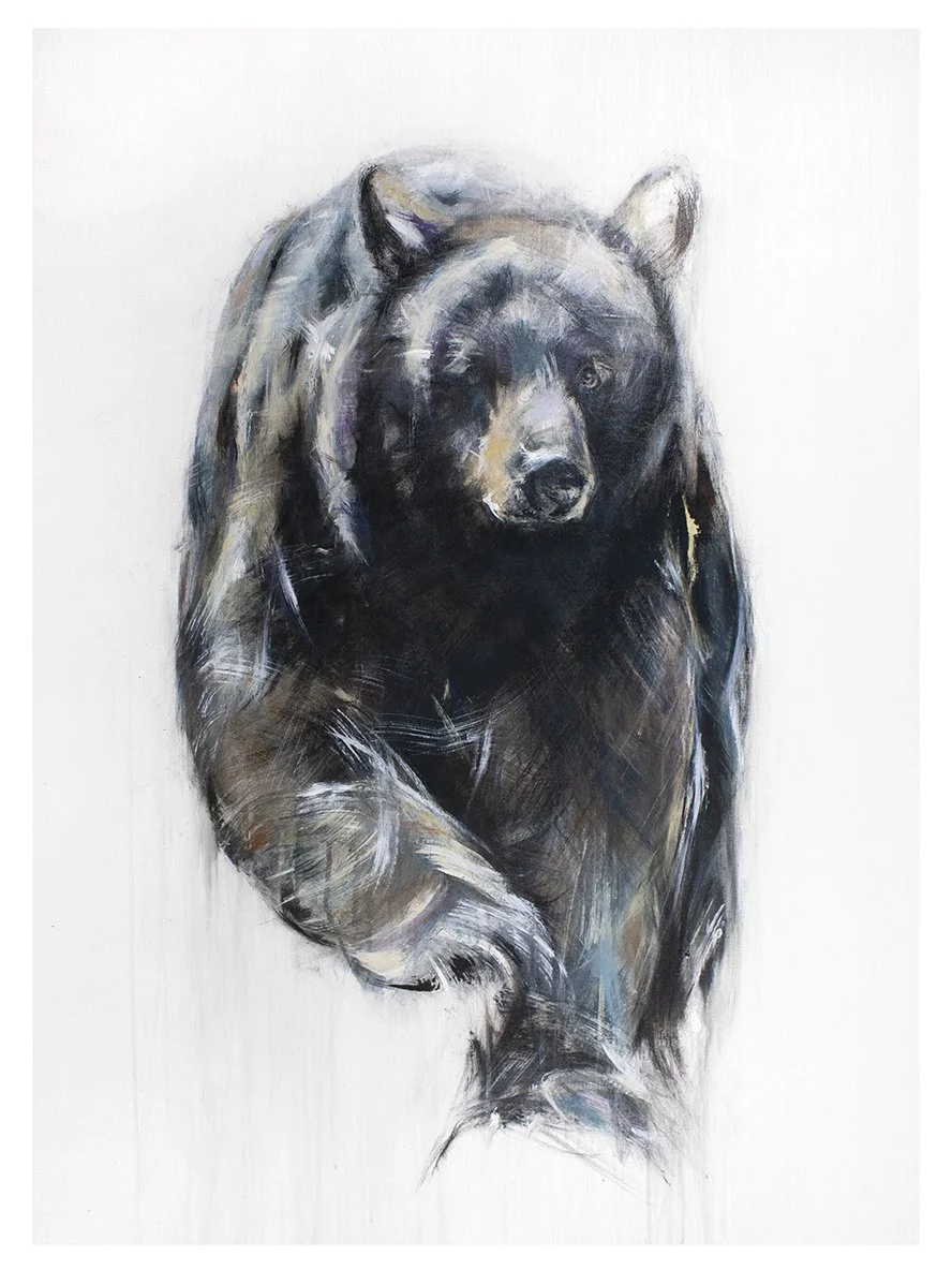 Black+Bear+I_printimage.jpg
