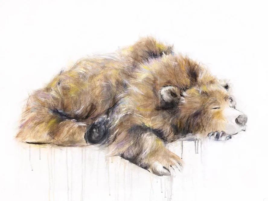 Grizzly+Bear+XII_printimage.jpg (Copy)