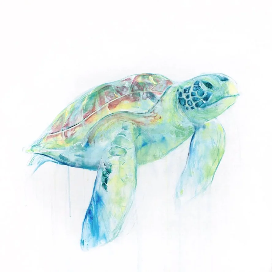 Turtle+I_printimage.jpg