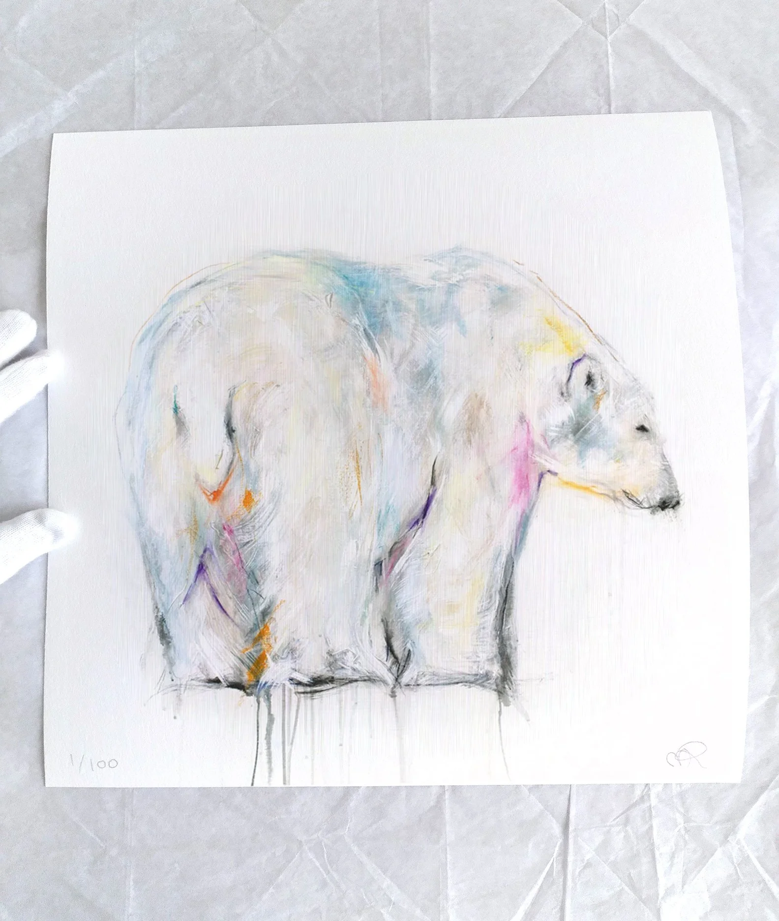 Polar+Bear+XL_printimage3.jpg