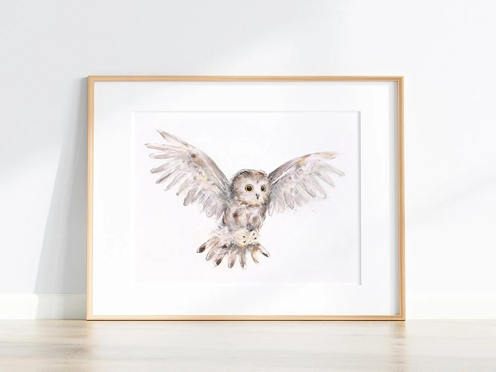 Northern+Saw-whet+Owl+II_printimage22.jpg