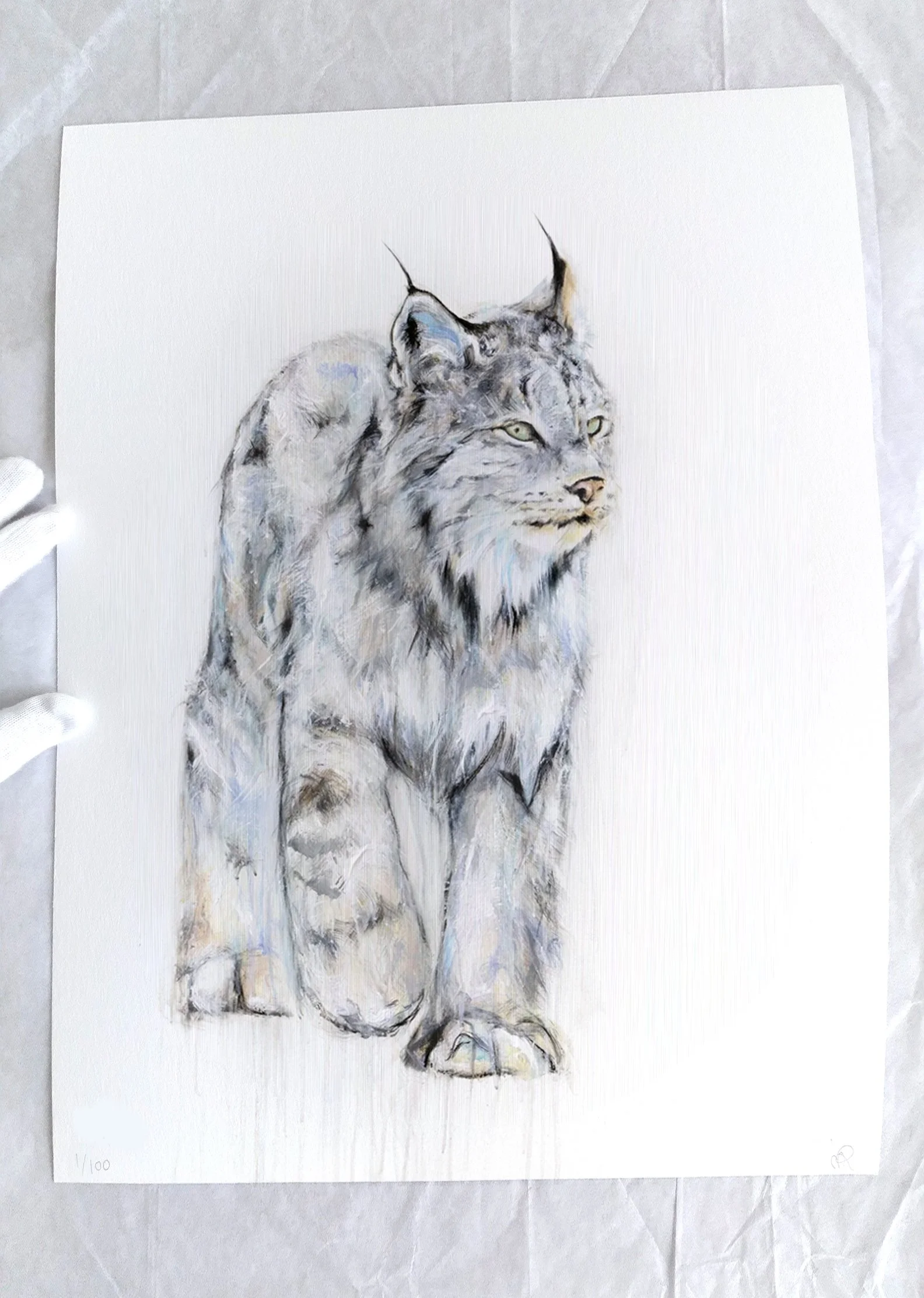 Lynx VII_printimage3.jpg