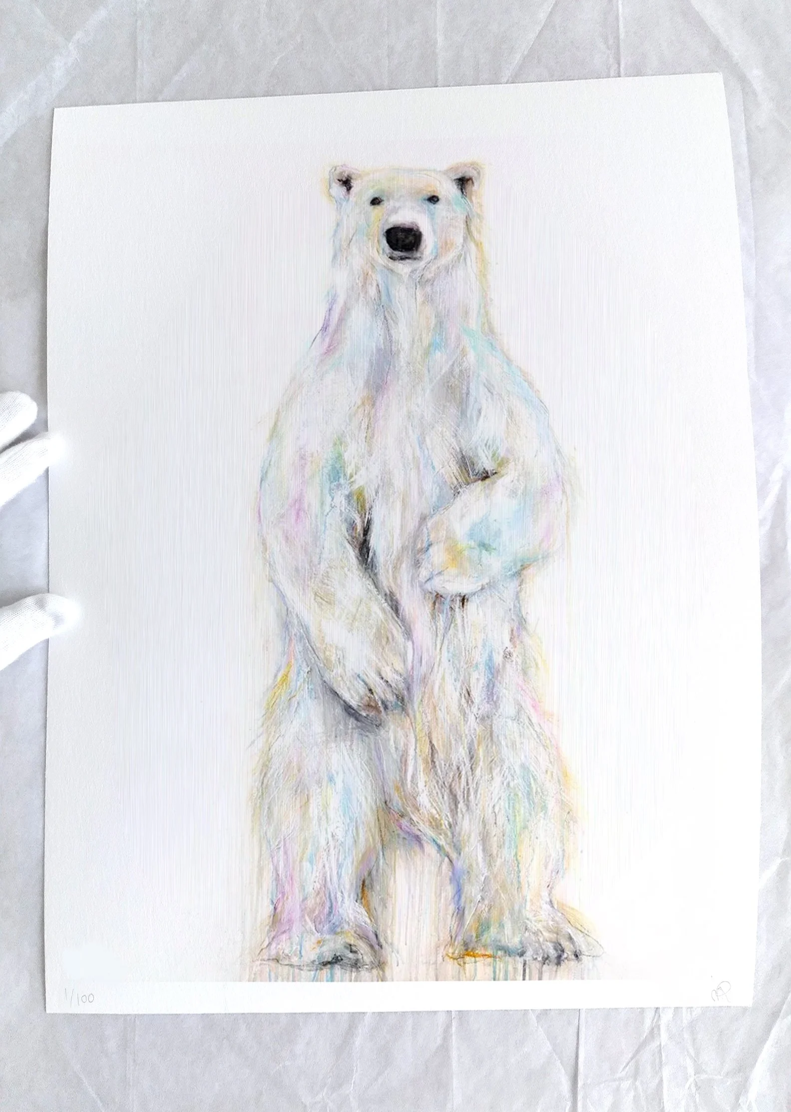 Polar+Bear+LXXVI_printimage3jpg.jpg