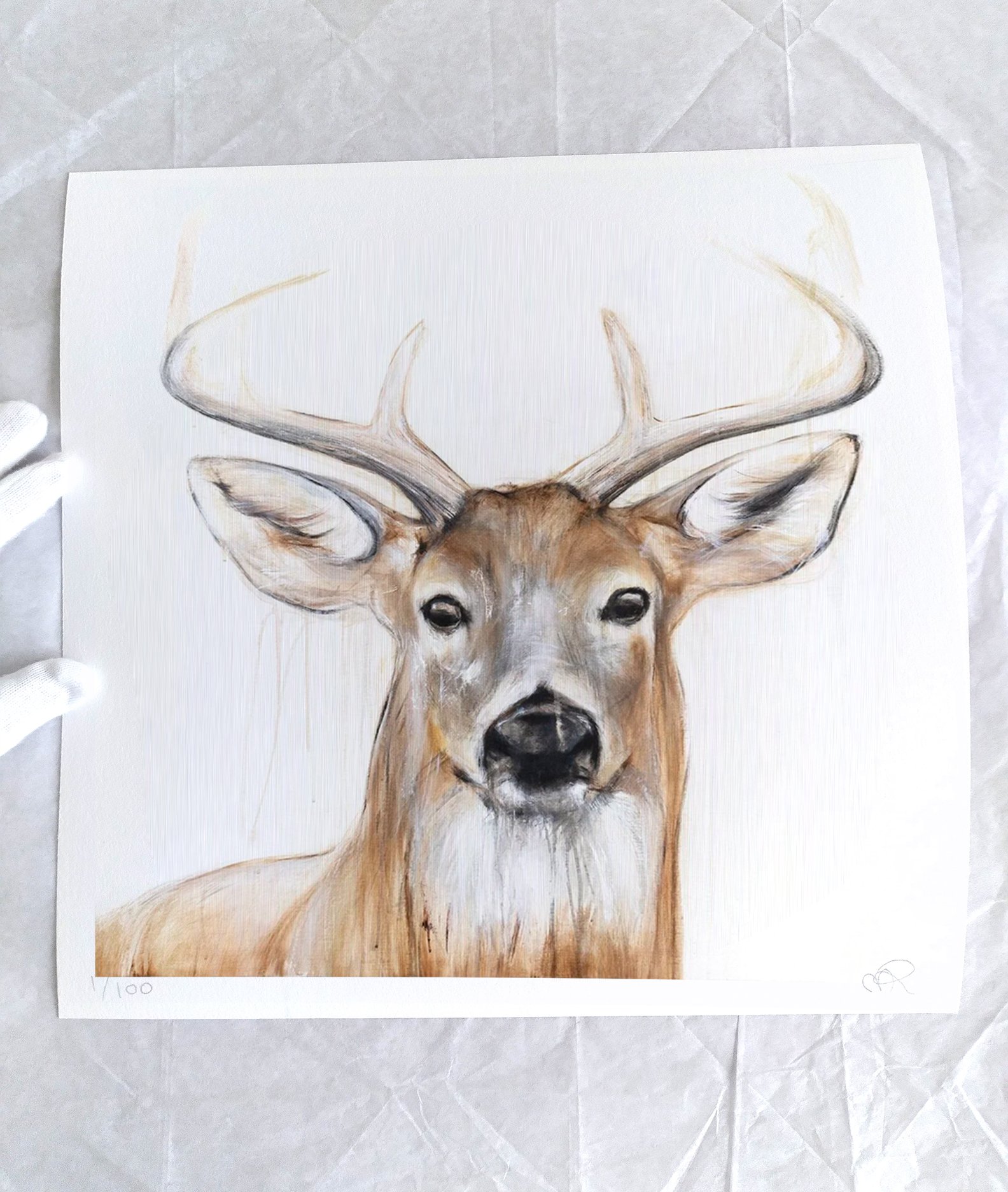 Deer+VII_printimage3.jpg