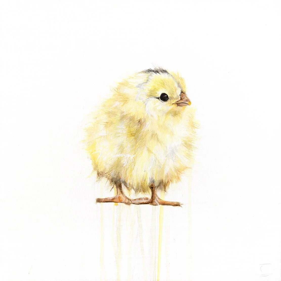 Chick I_1111_1.jpg