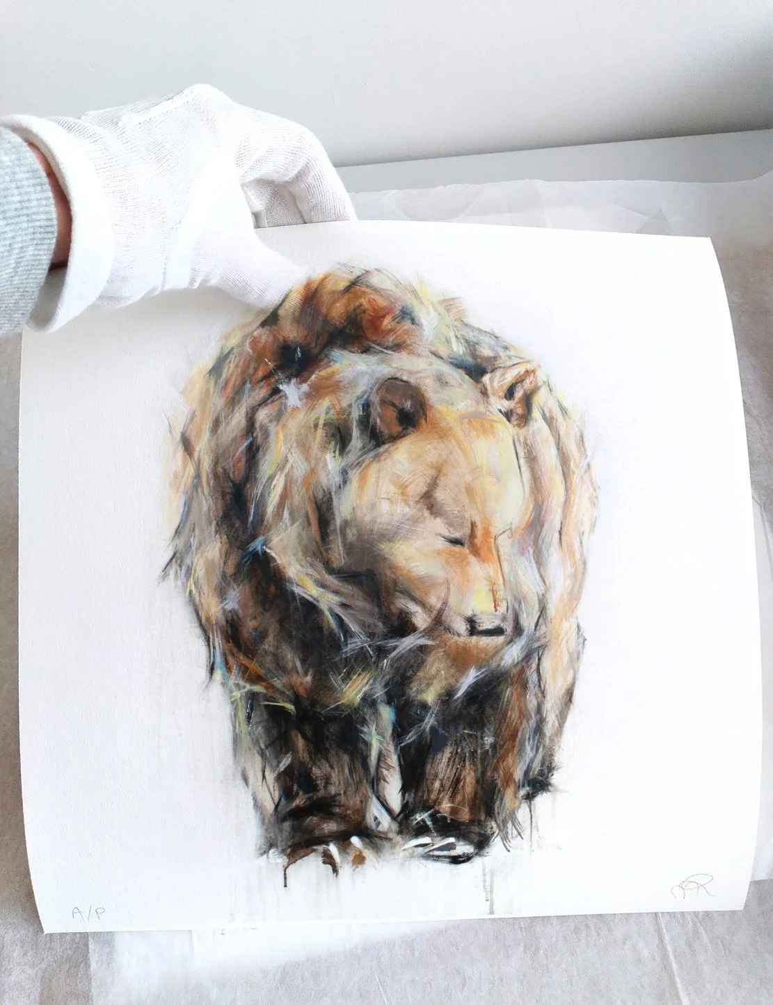 Grizzly+Bear+VIII_printimage3.jpg