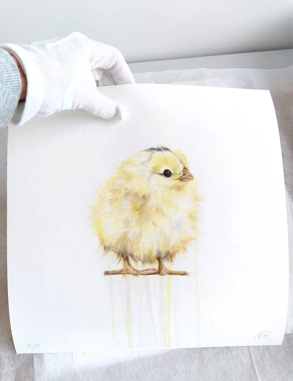 Chick I_printimage2.jpg