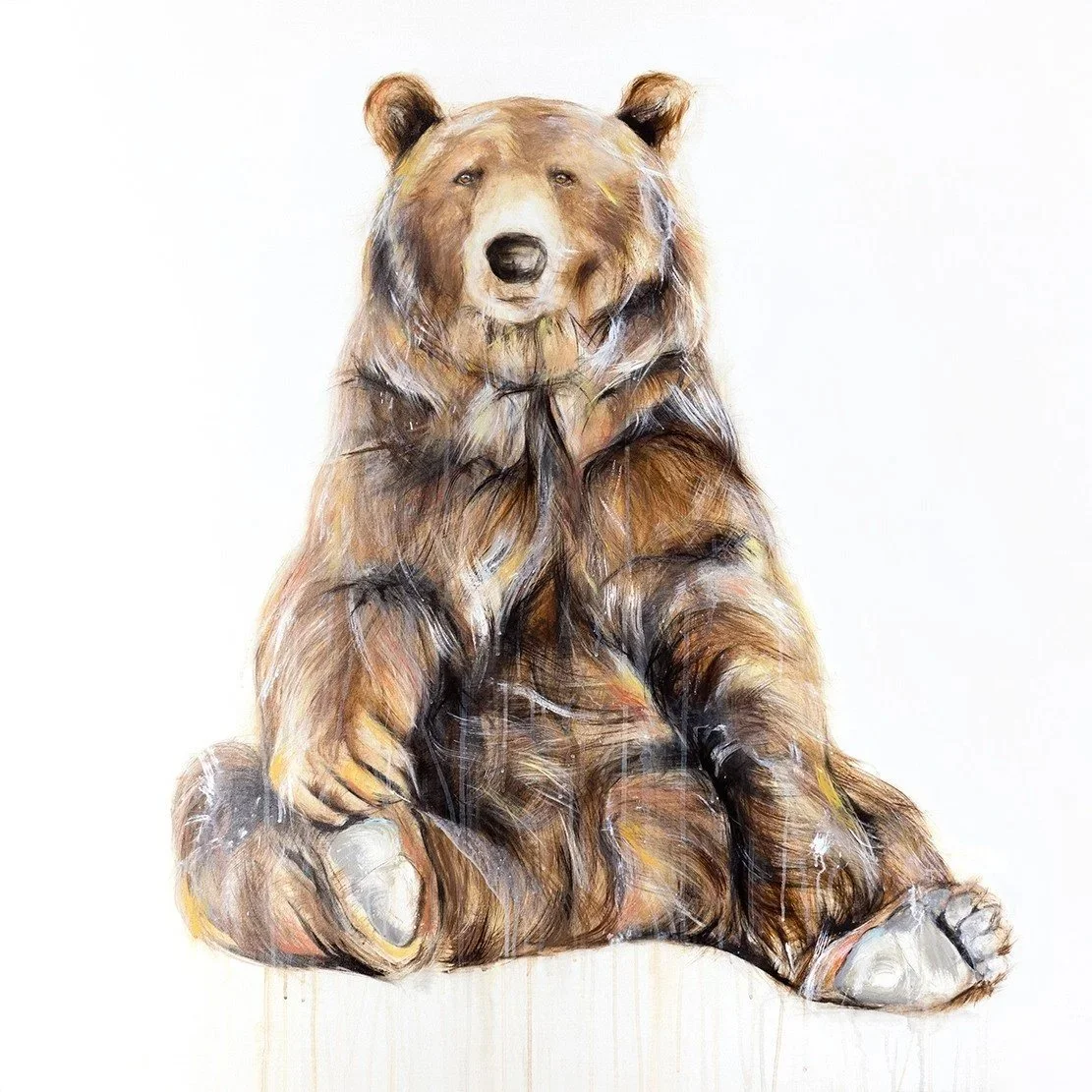 Grizzly+Bear+XVI.jpg