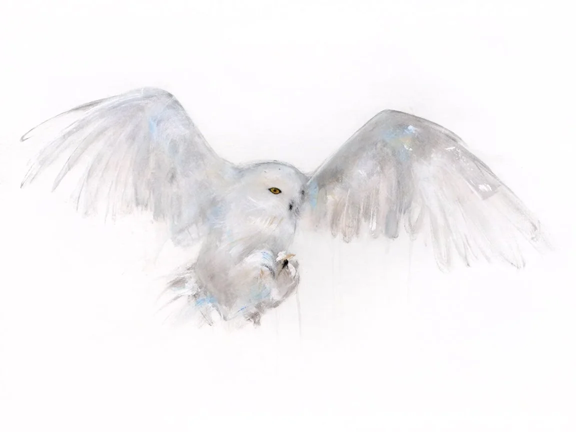 Snowy+Owl+V_printimage.jpg