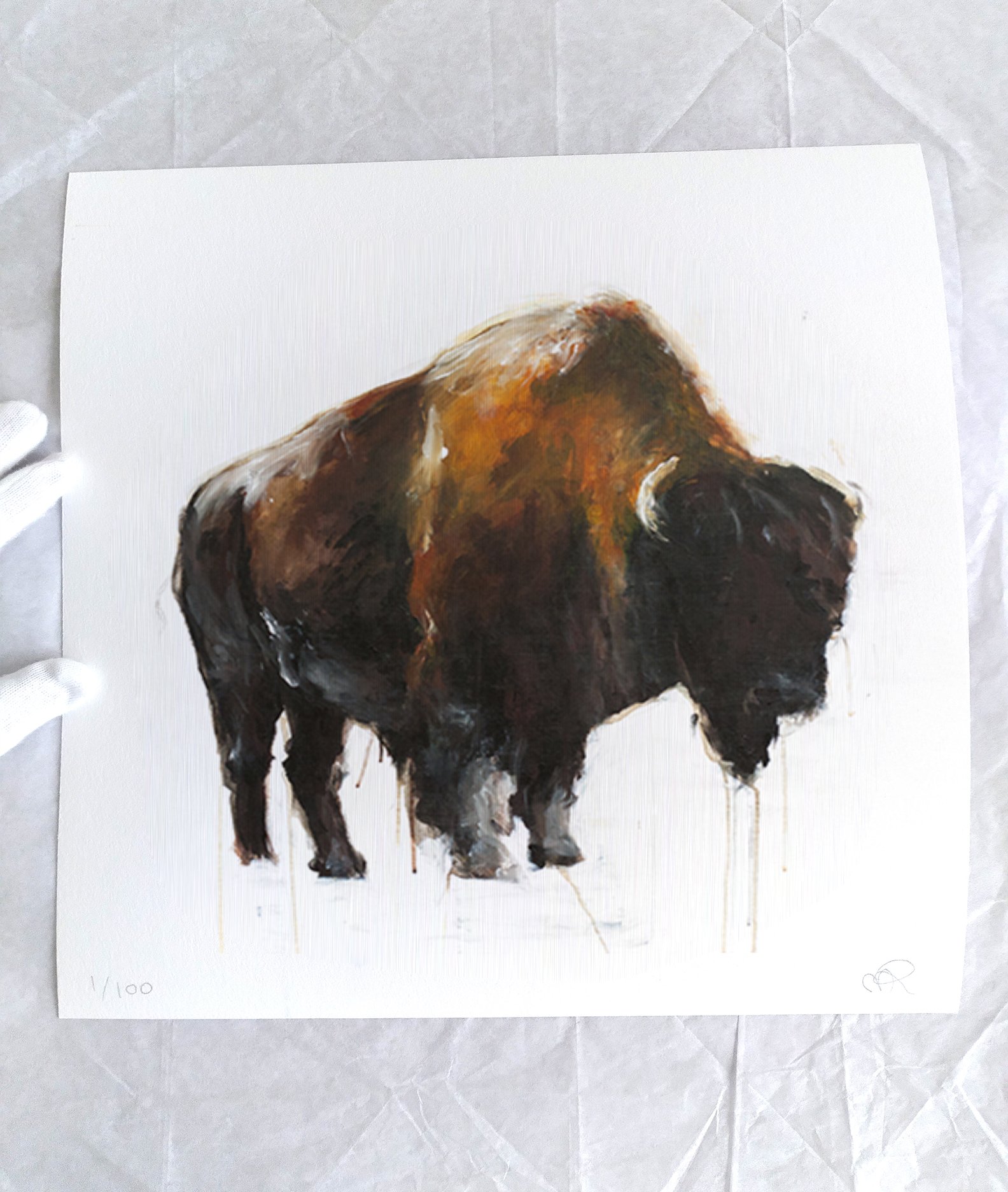 Bison I_printimage2.jpg