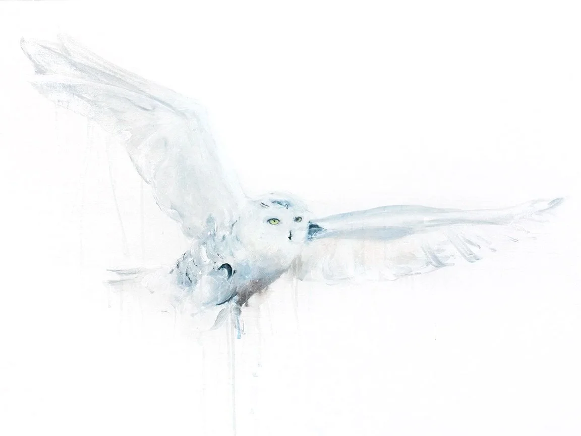 Snowly Owl II_printimage.jpg