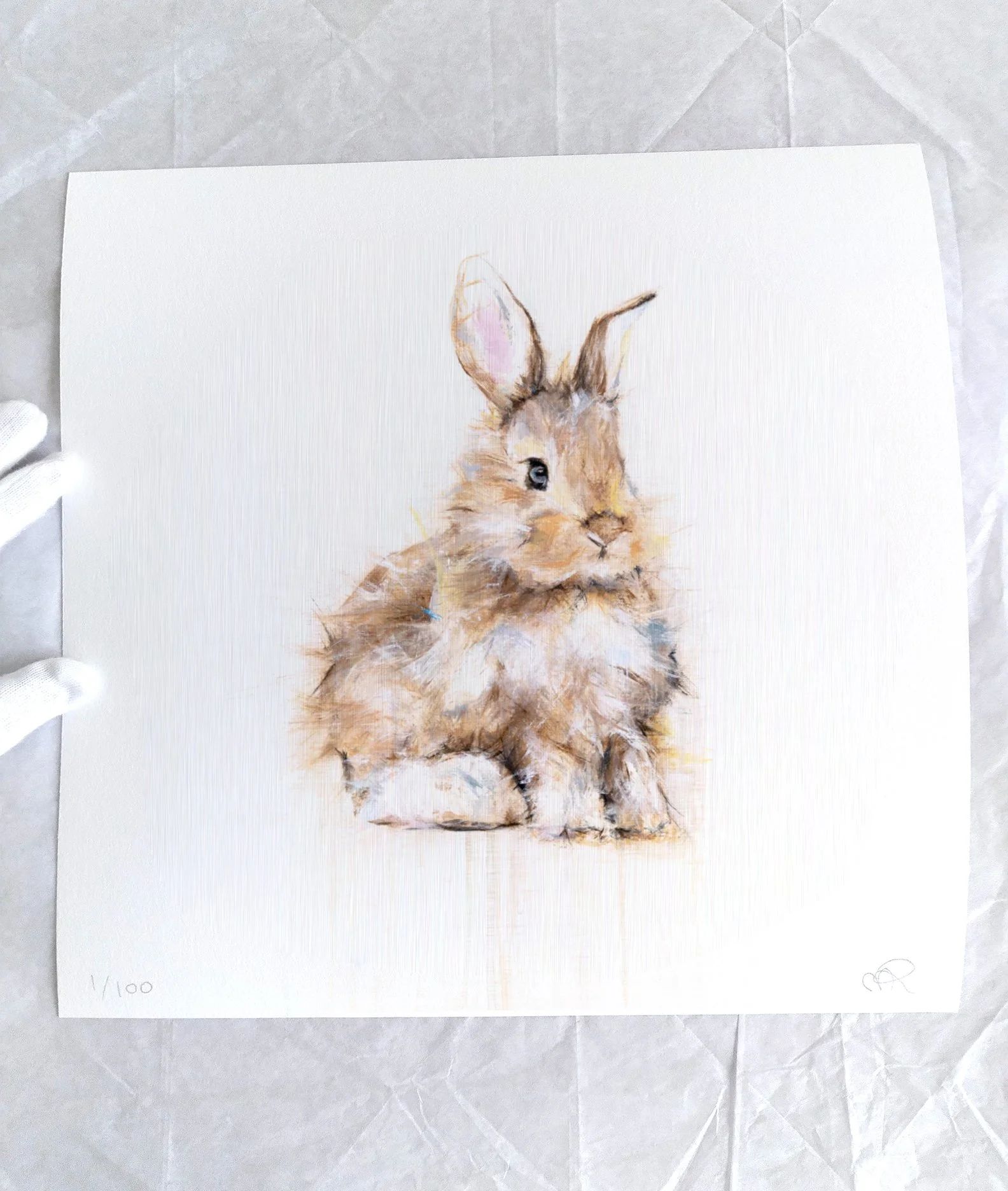 Rabbit I_printimage3.jpg