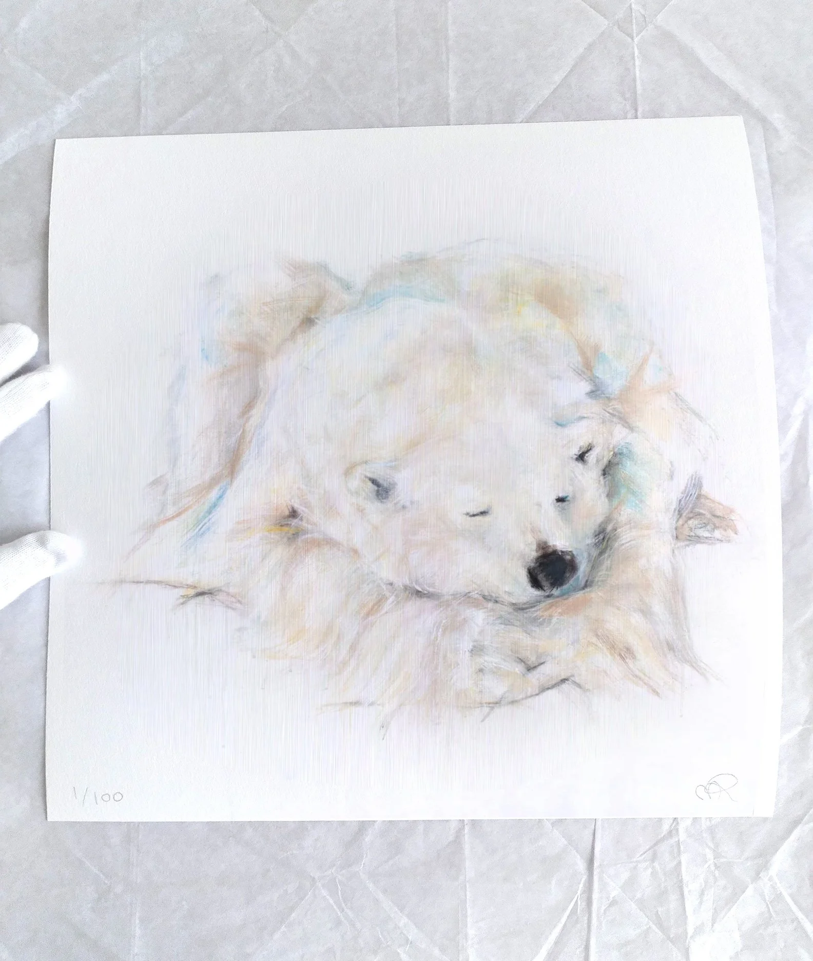 Polar+Bear+XXV_printimage2.jpg