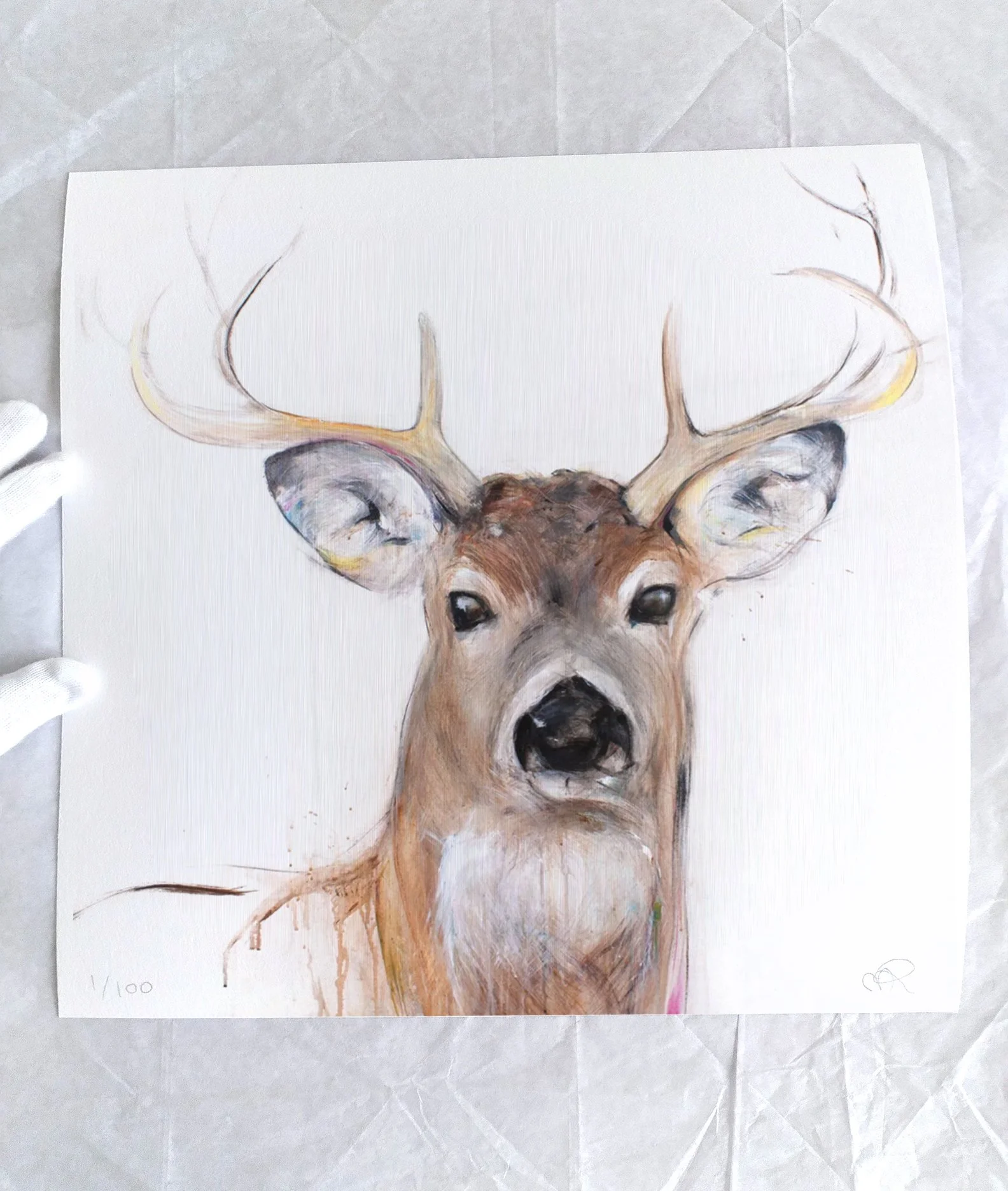 DeerV_printimage2.jpg