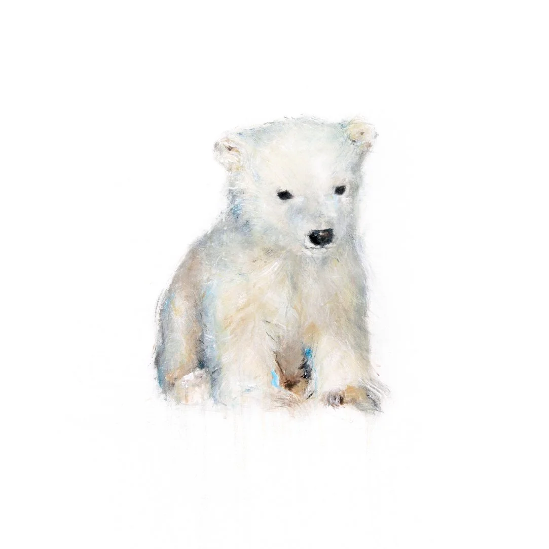Polar Bear VII_16x16 2.jpg