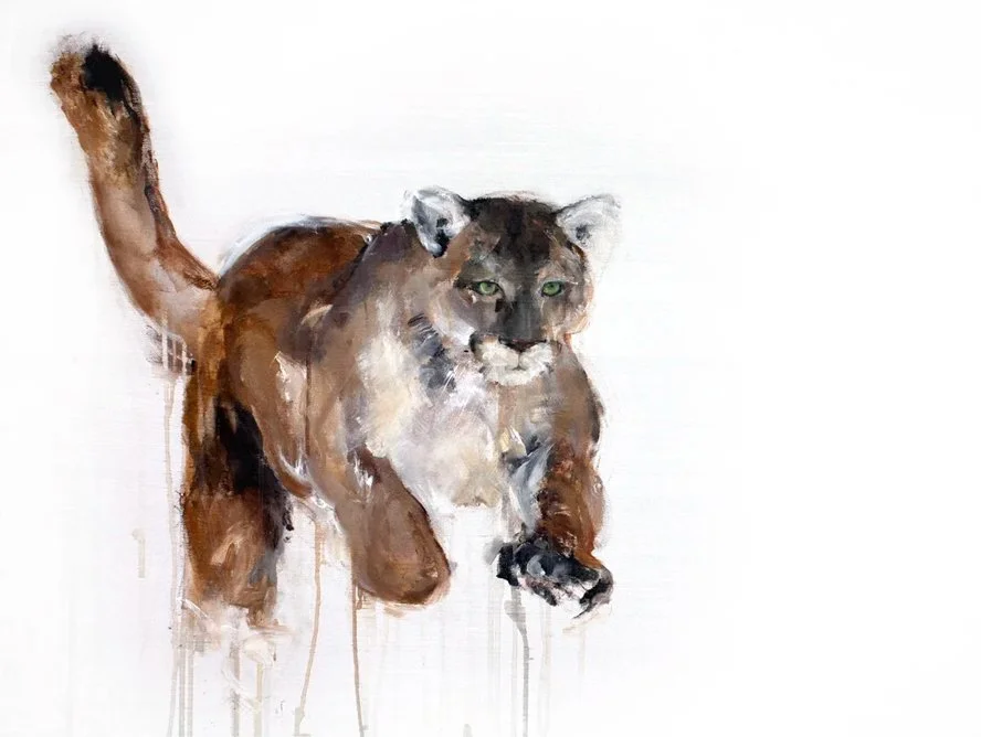 Cougar II_printimage.jpg