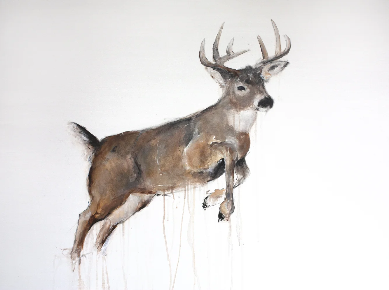 DEER II_Animals In Motion_MyriamRousseauArt.png