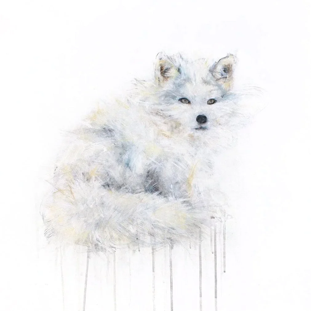 Arctic+Fox+IV_printimage.jpg