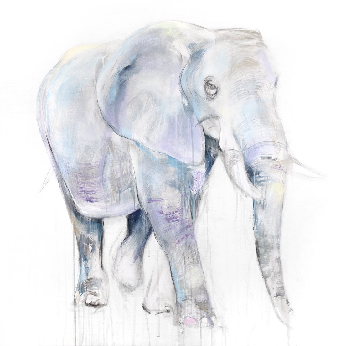 ELEPHANT I