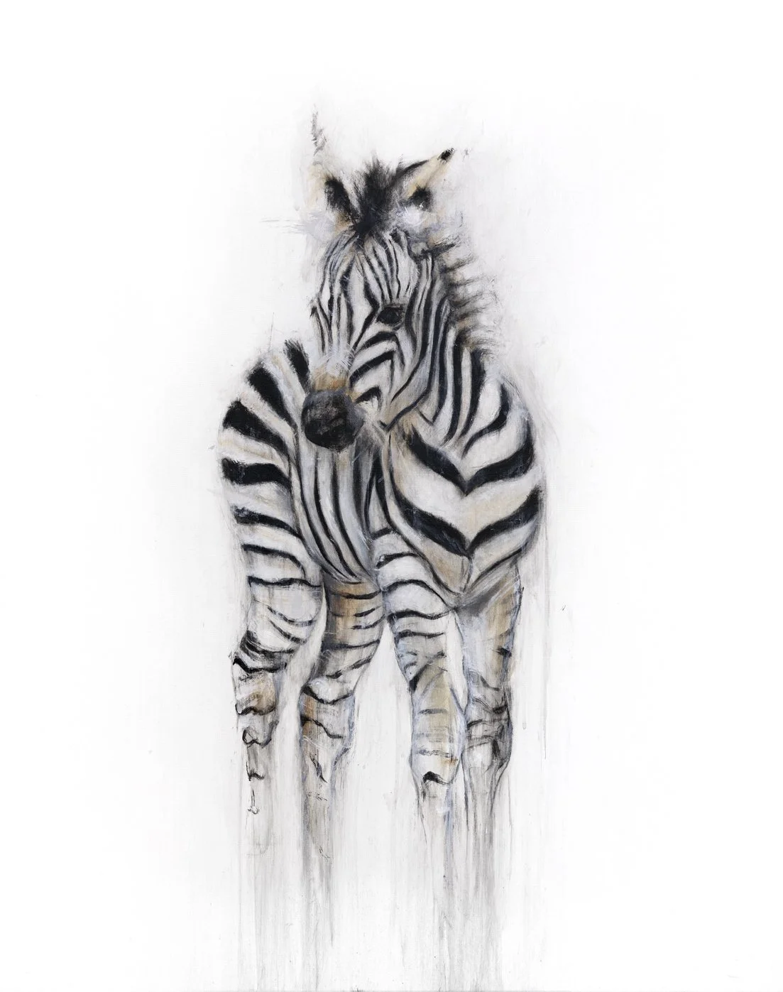 Zebra II_1111_4.jpg