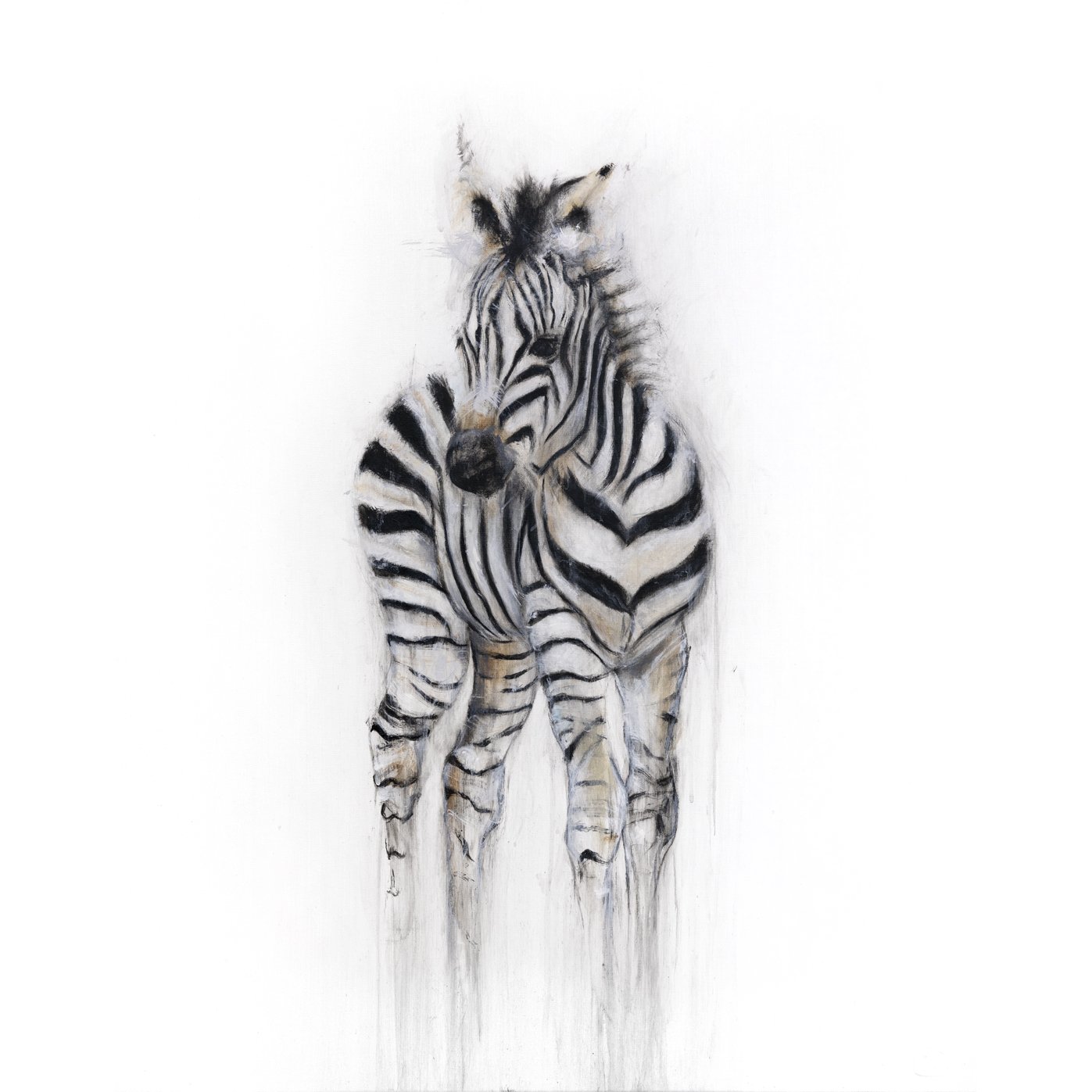 ZEBRA II