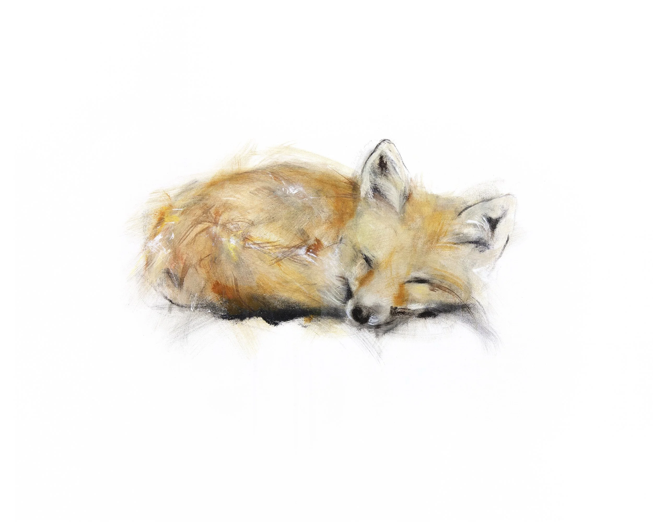 Fox III_16x20 fifi_smaller_print image4.jpg