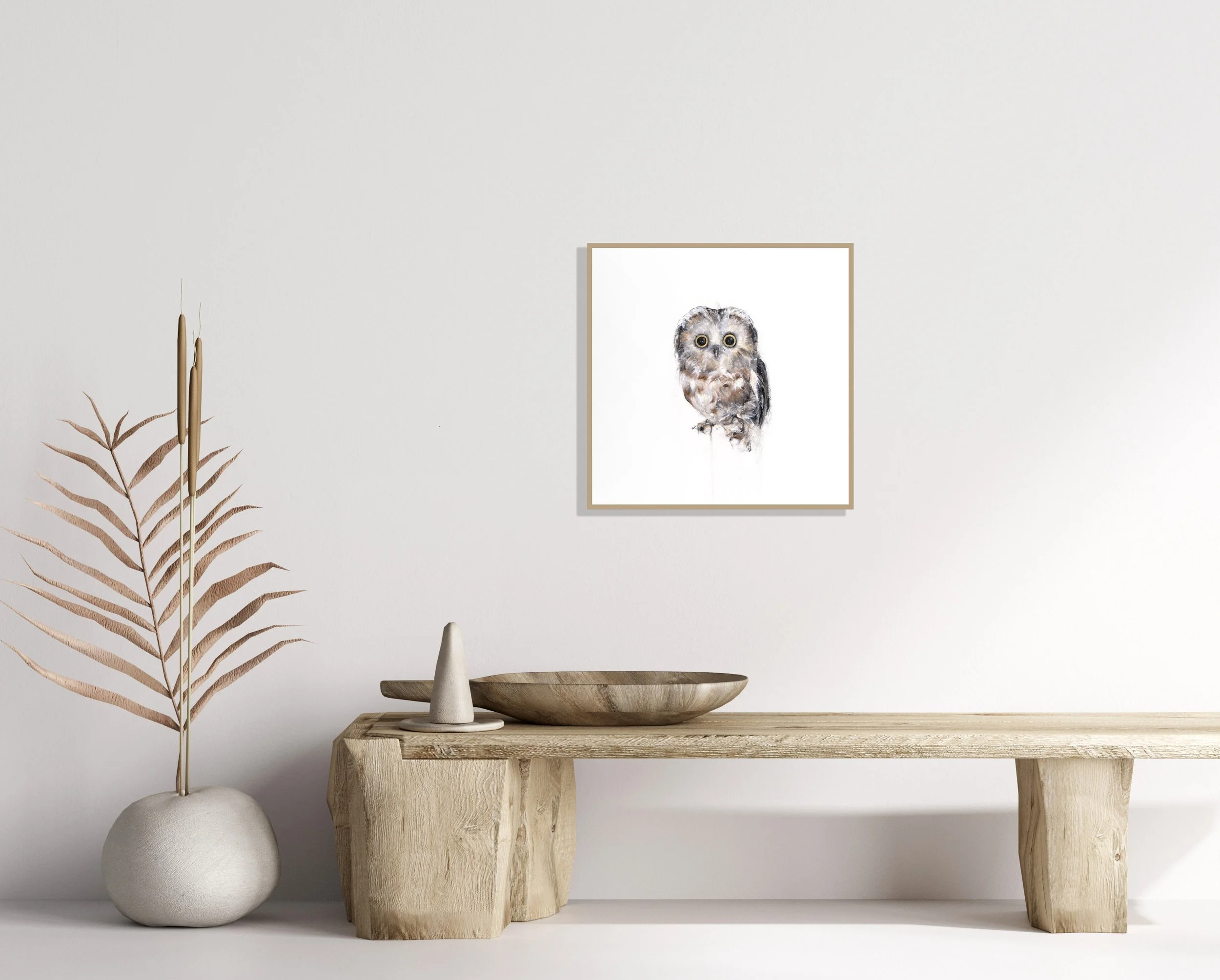 Northern Saw-Whet_12x12_insitu2.jpg