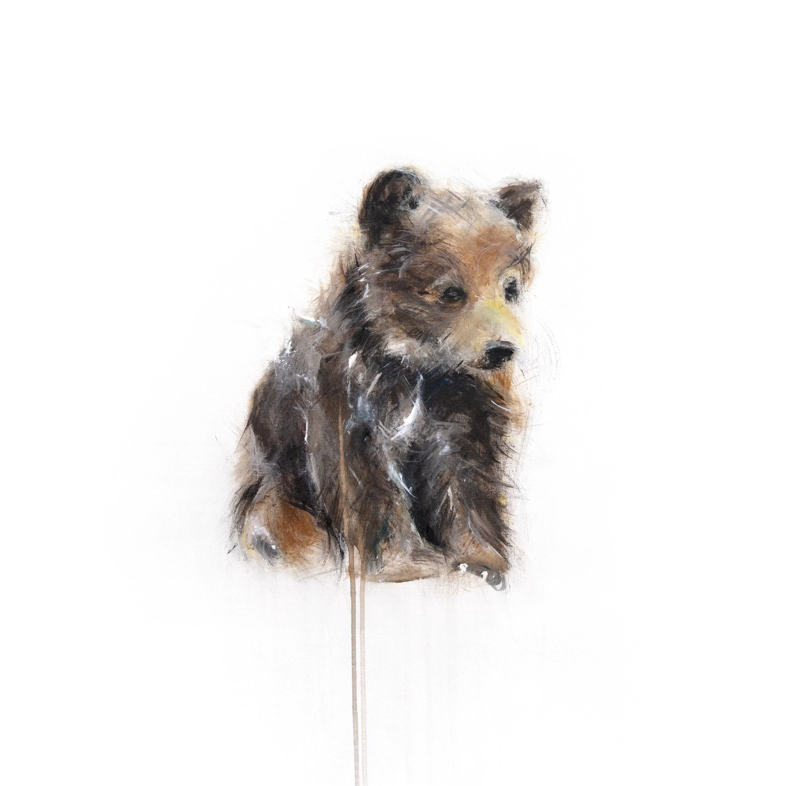 Grizzly Bear v_12x12 fifi_print image2.jpg