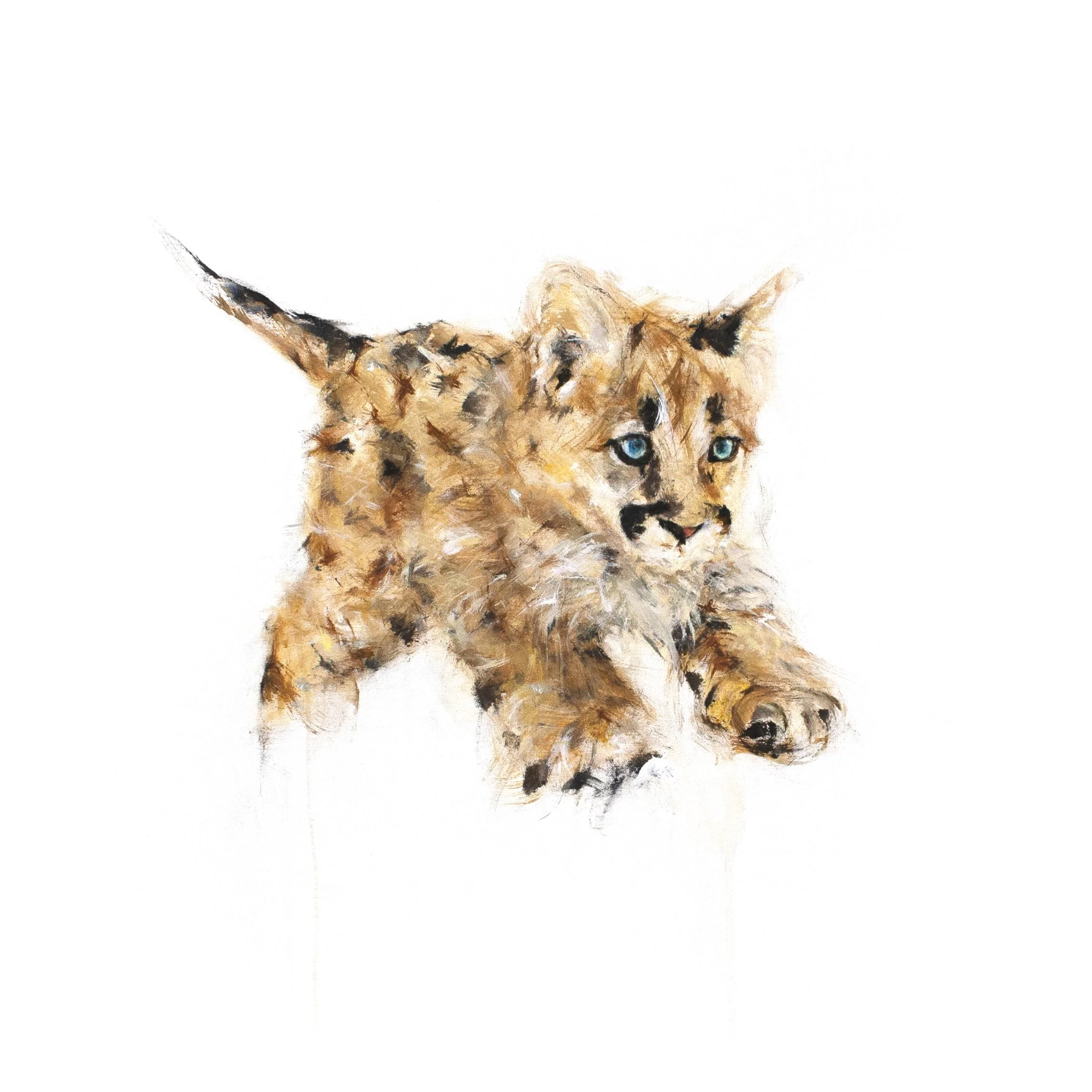 Cougar VI_print image2.jpg
