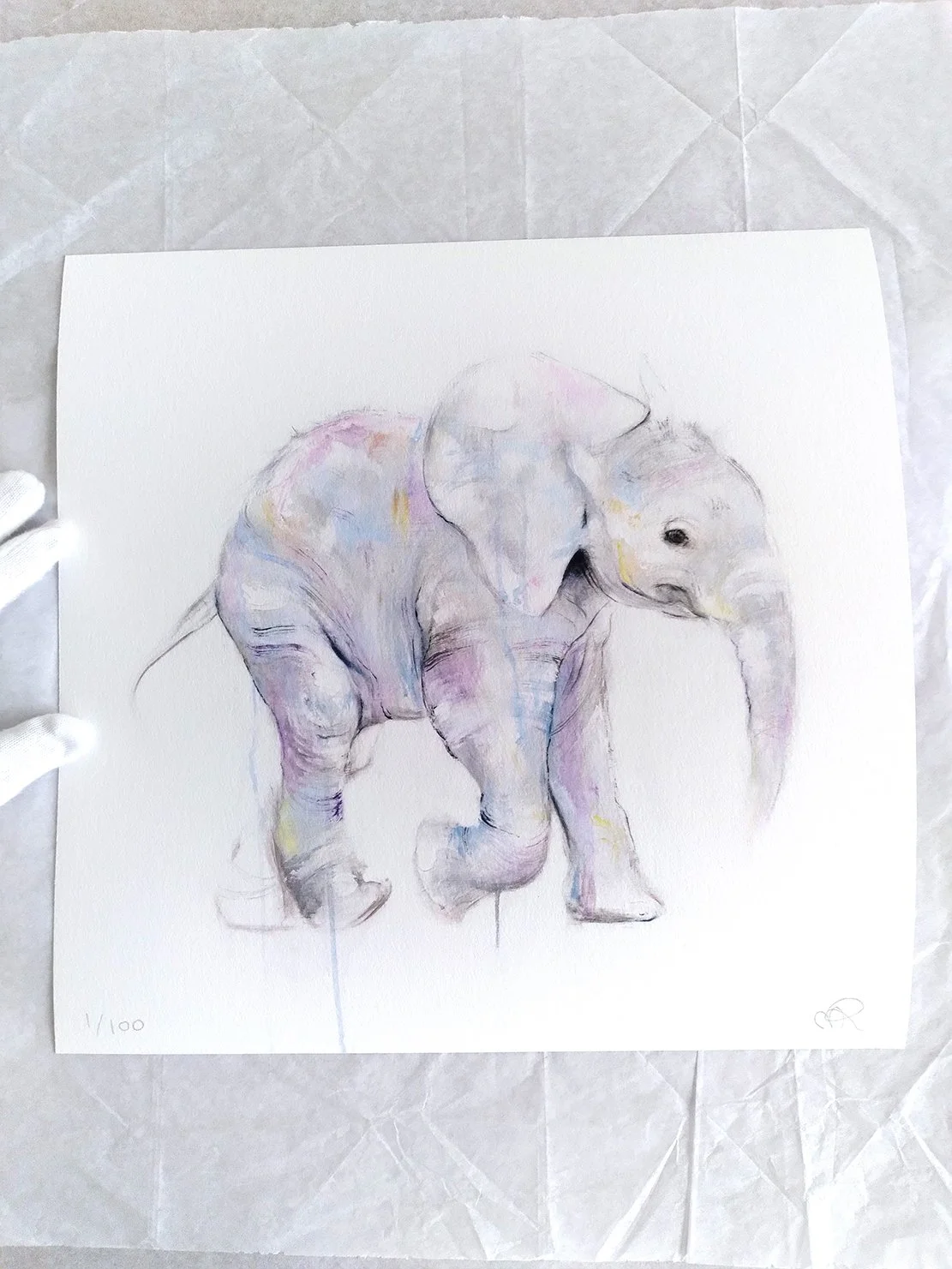 Impression_ElephantII_1_1111.jpg