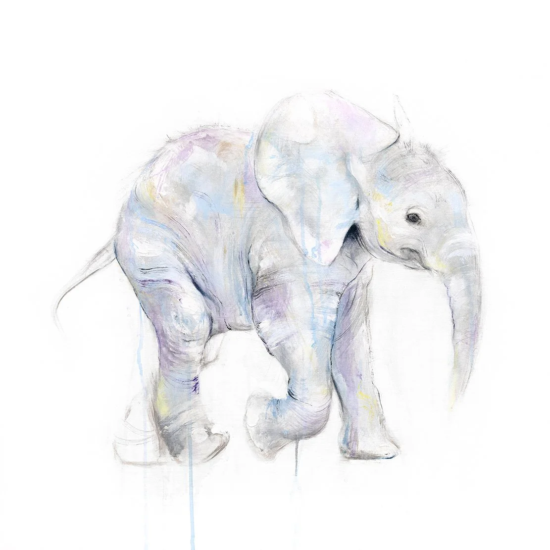 Elephant II_print image.jpg