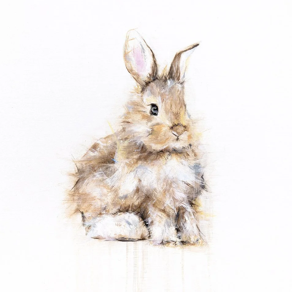 Rabbit I_1111_thumb2.jpg