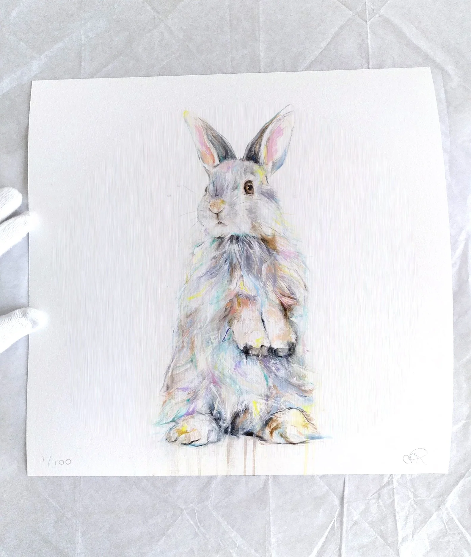 Rabbit+IV_printimage2.jpg