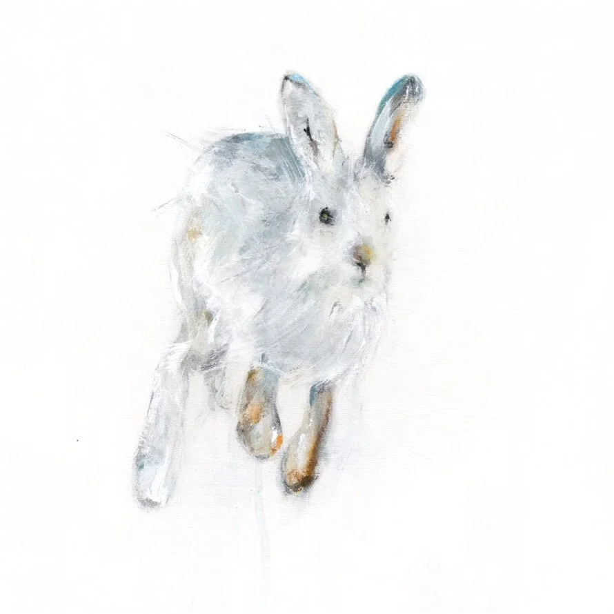 Snowshoe+Hare+III_printimage.jpg