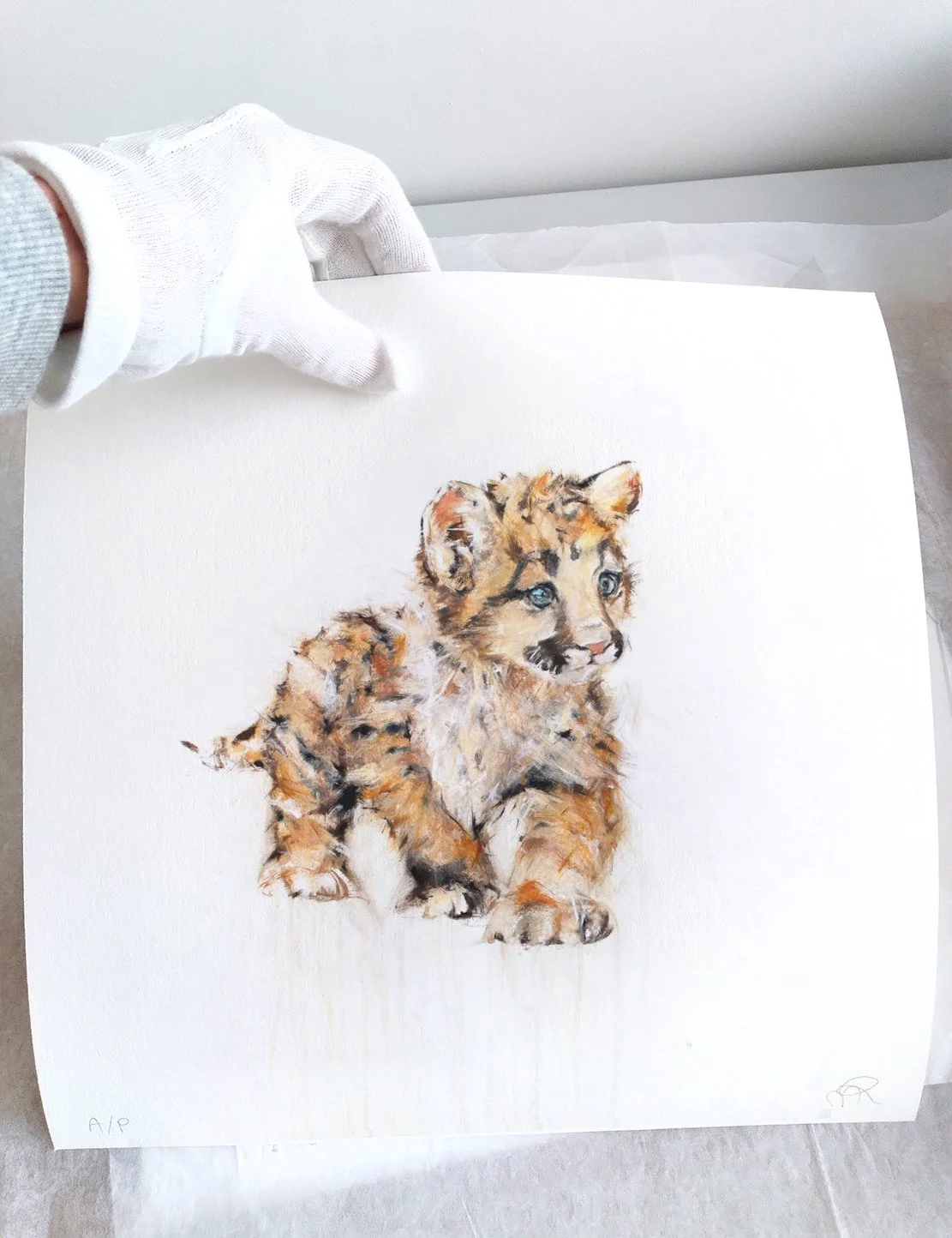 Cougar+VII_printimage3.jpg